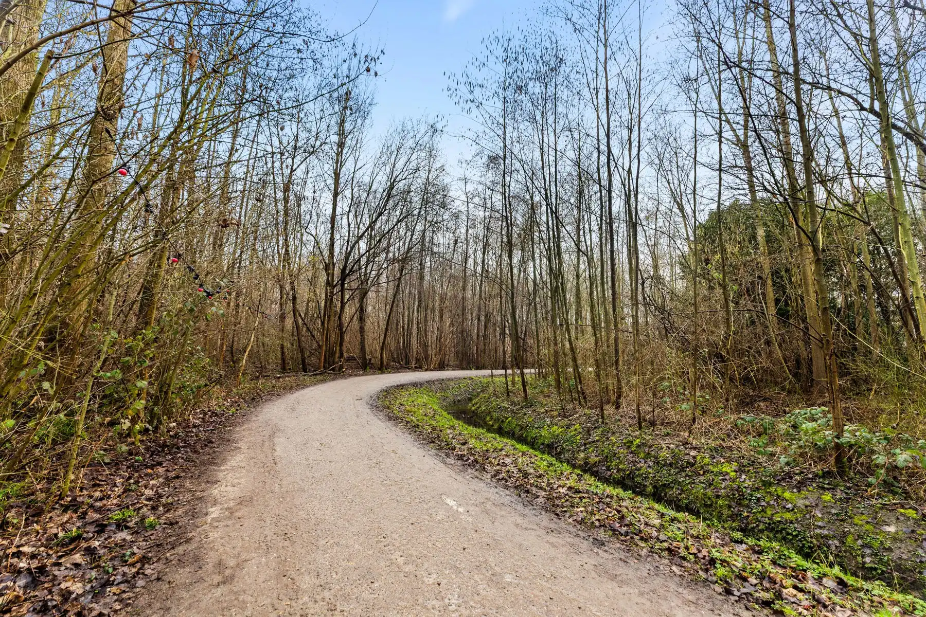 Appartement in Rubenspark in groene omgeving foto 12