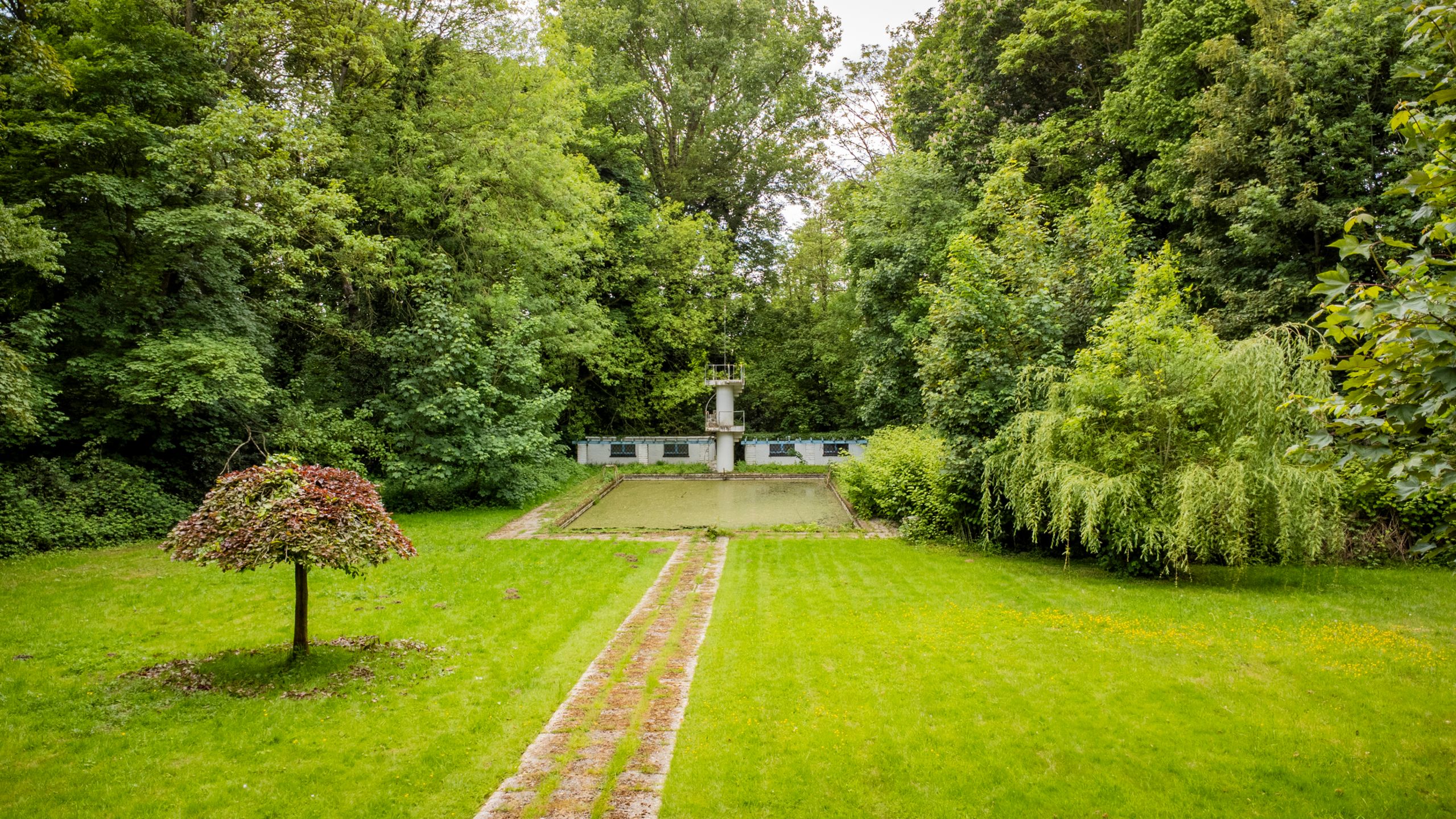 Exclusieve villa met zwembad en privédomein te Dilbeek foto 6