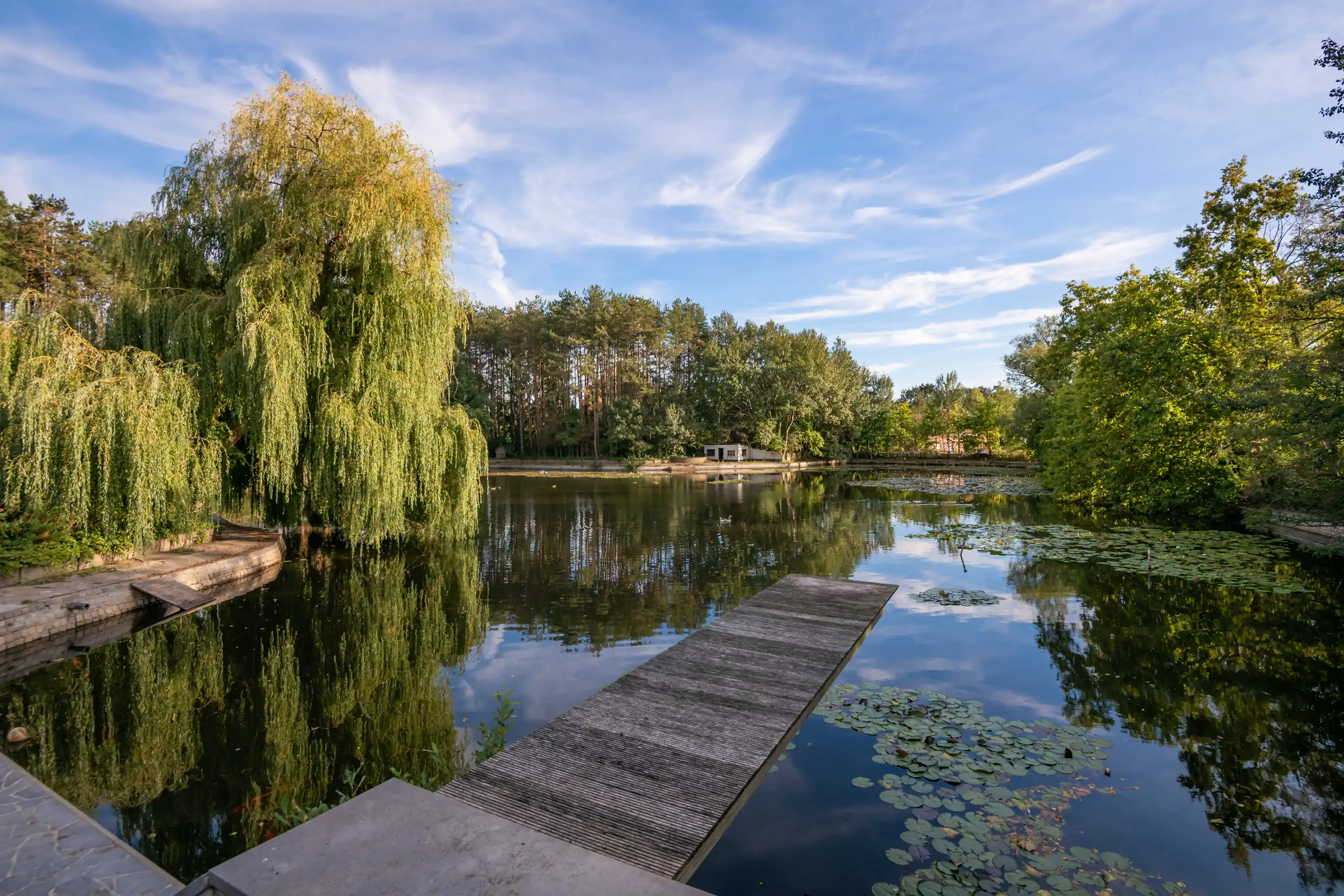 Exclusieve paviljoenvilla met private vijver en vissershuis in Haacht foto 6