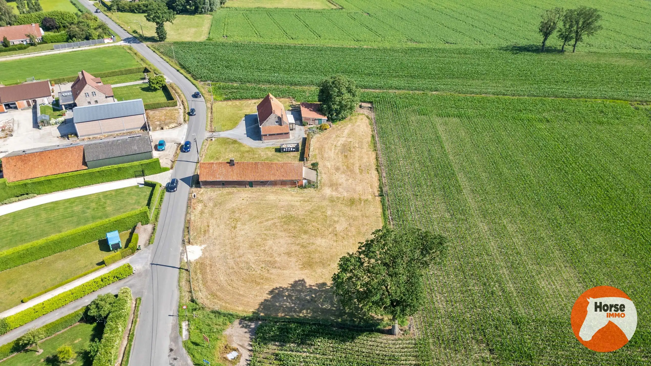 AALTER - Hoeve met schuur op 1,4HA foto 3