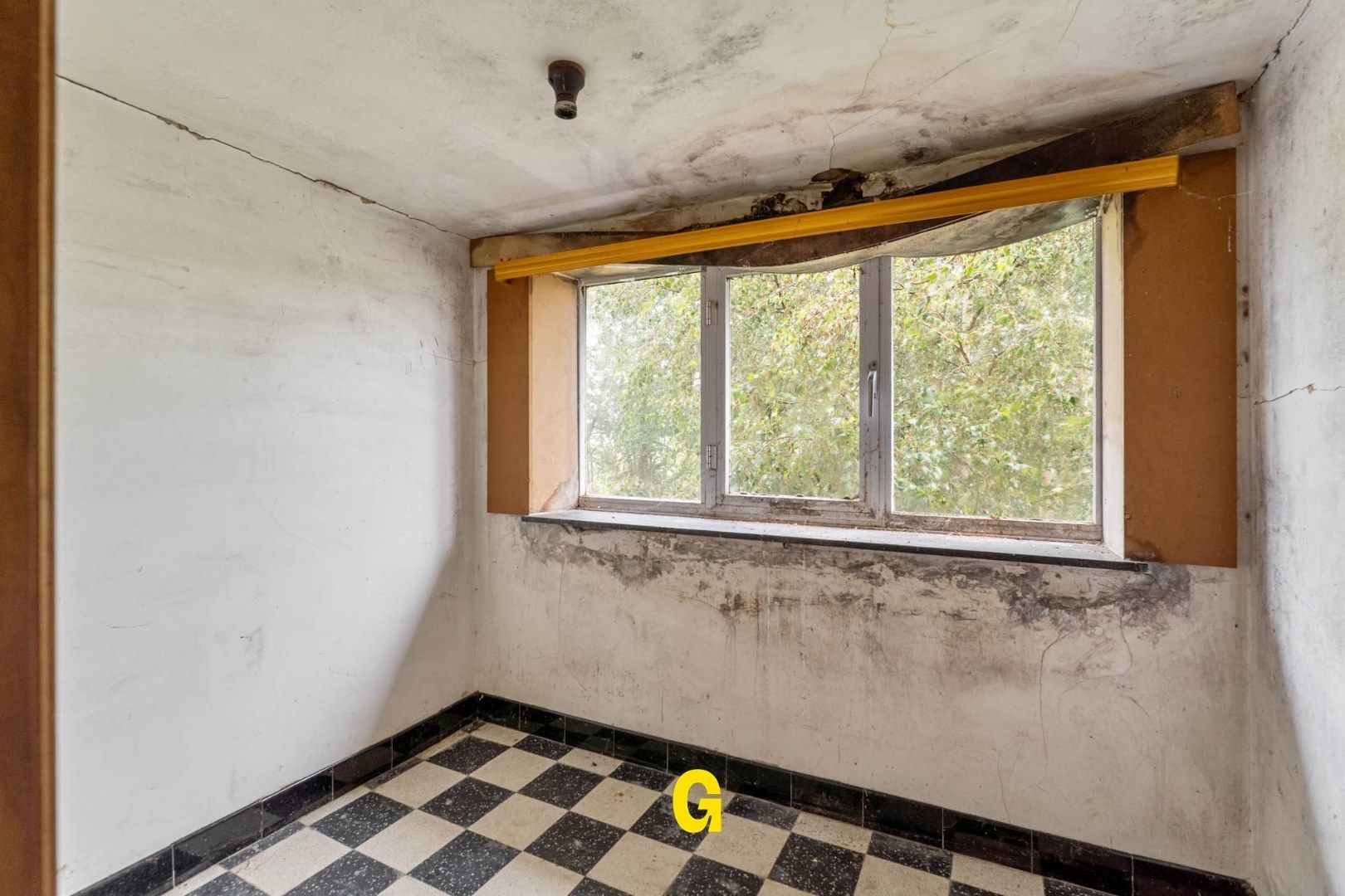 Grondig te renoveren halfvrijstaande woning met tuin op 15a 12ca in het landelijke Alt-Hoeselt foto 16
