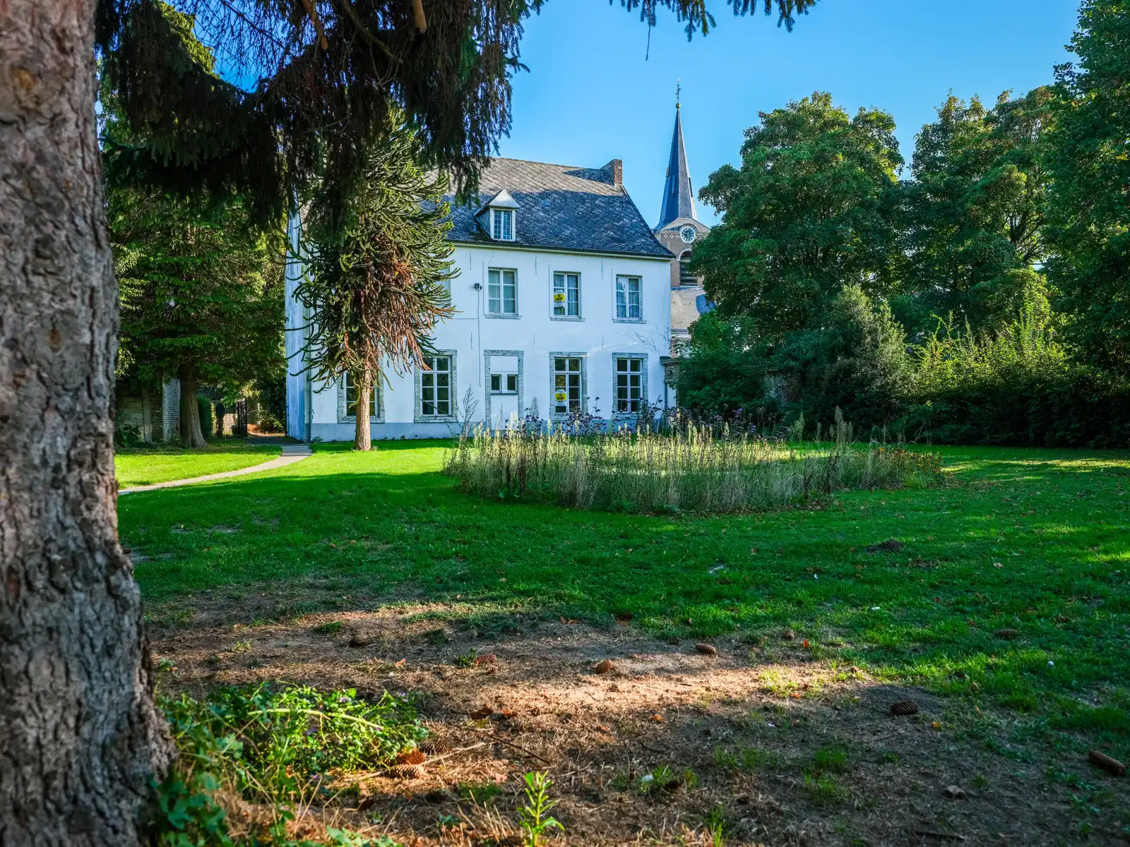 Zeldzame pastorie met monumentale tuin en commerciële potentie foto 8