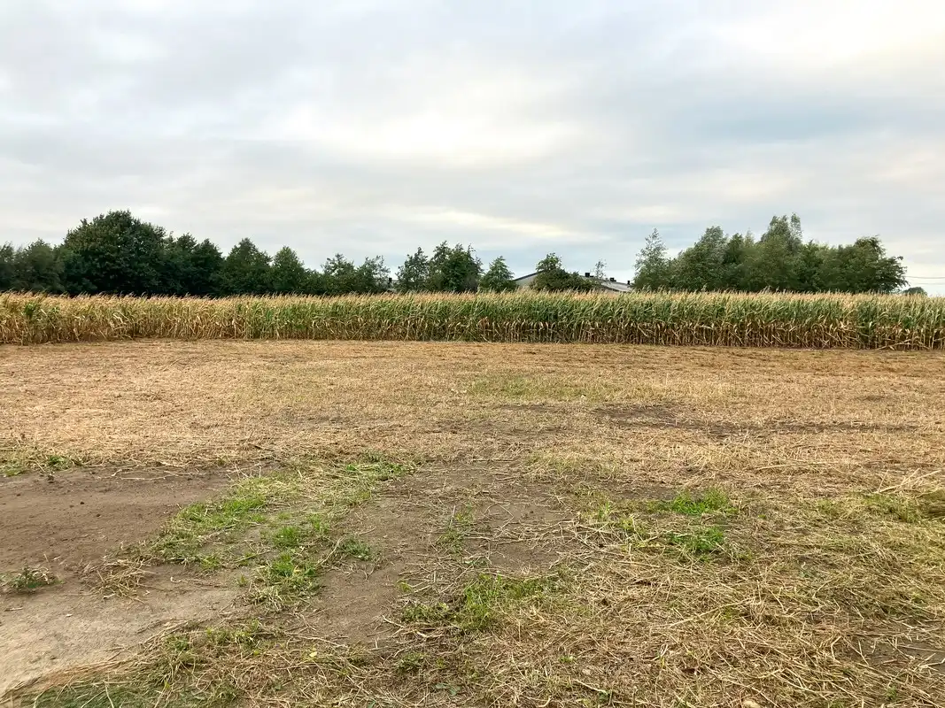 Perceel bouwgrond, bestemd voor open bebouwing te Wingene foto {{pictureIndex}}