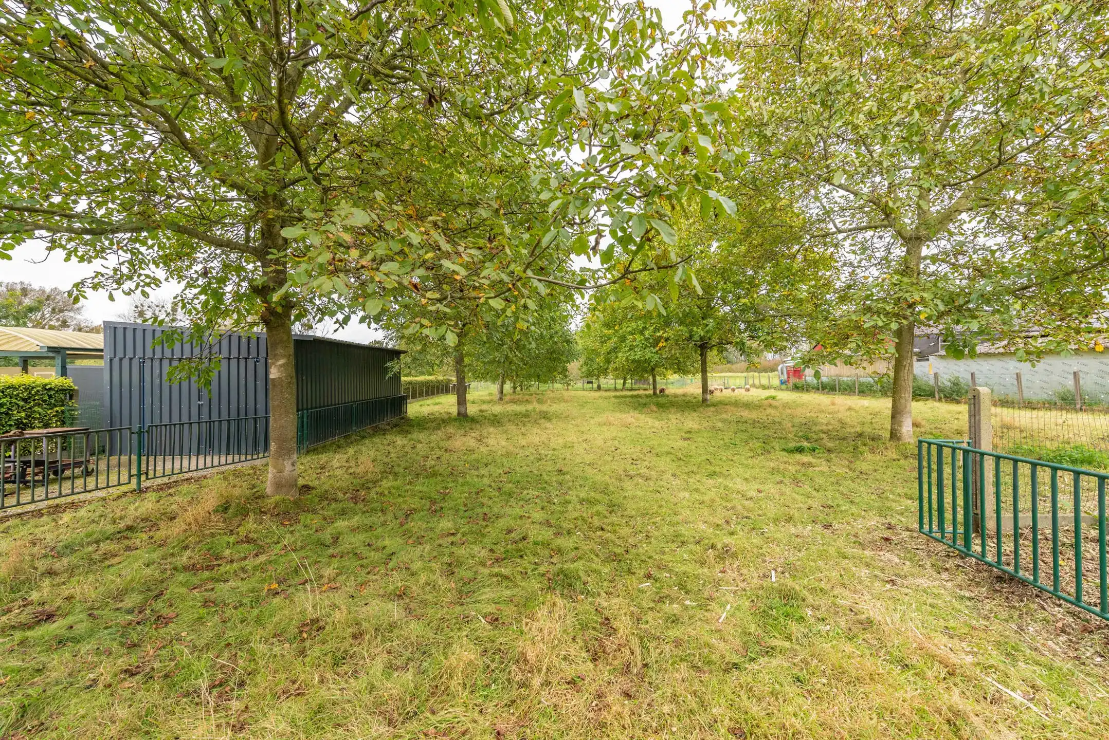 OB met paardenweide op 22a36ca te Membruggen foto 9