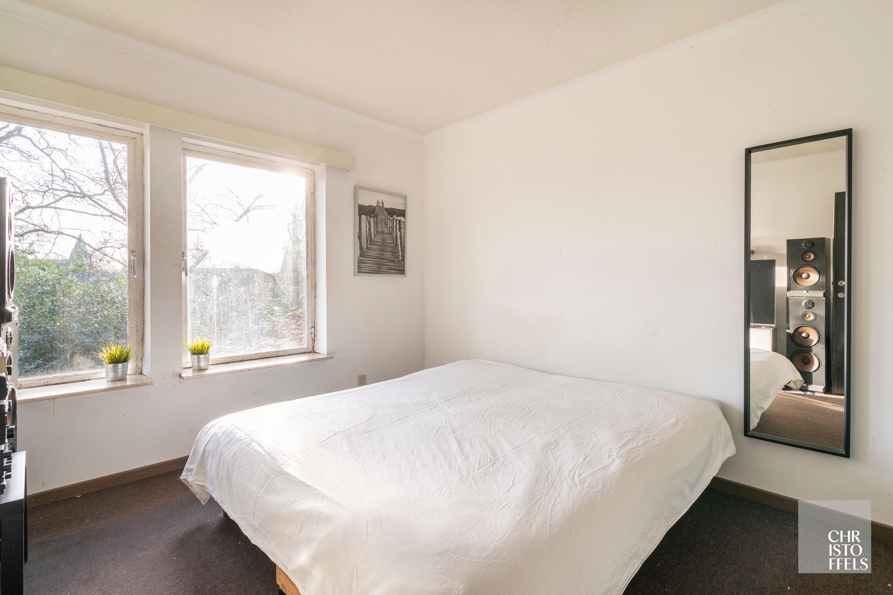 Ruime opbrengsteigendom (384m²) op een perceel van 2.681m² in hartje Zutendaal foto 8