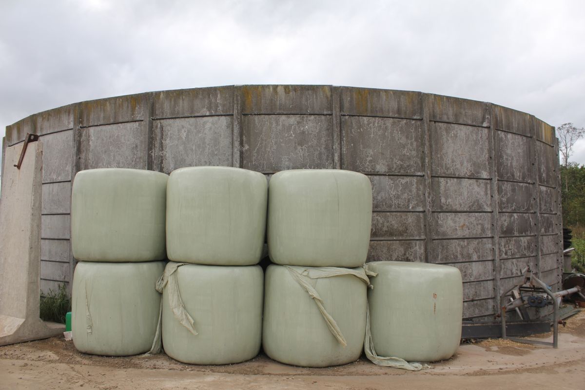 Melkveebedrijf met 38,70 ha grond te koop te Bocholt foto 20