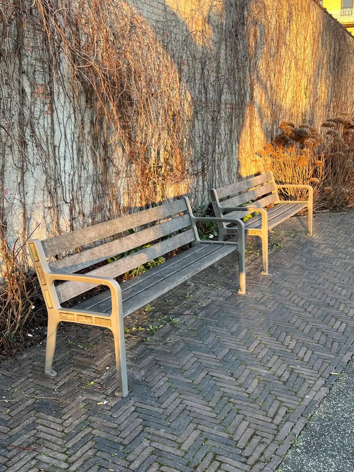 TE HUUR, Deinze, Markt foto 16