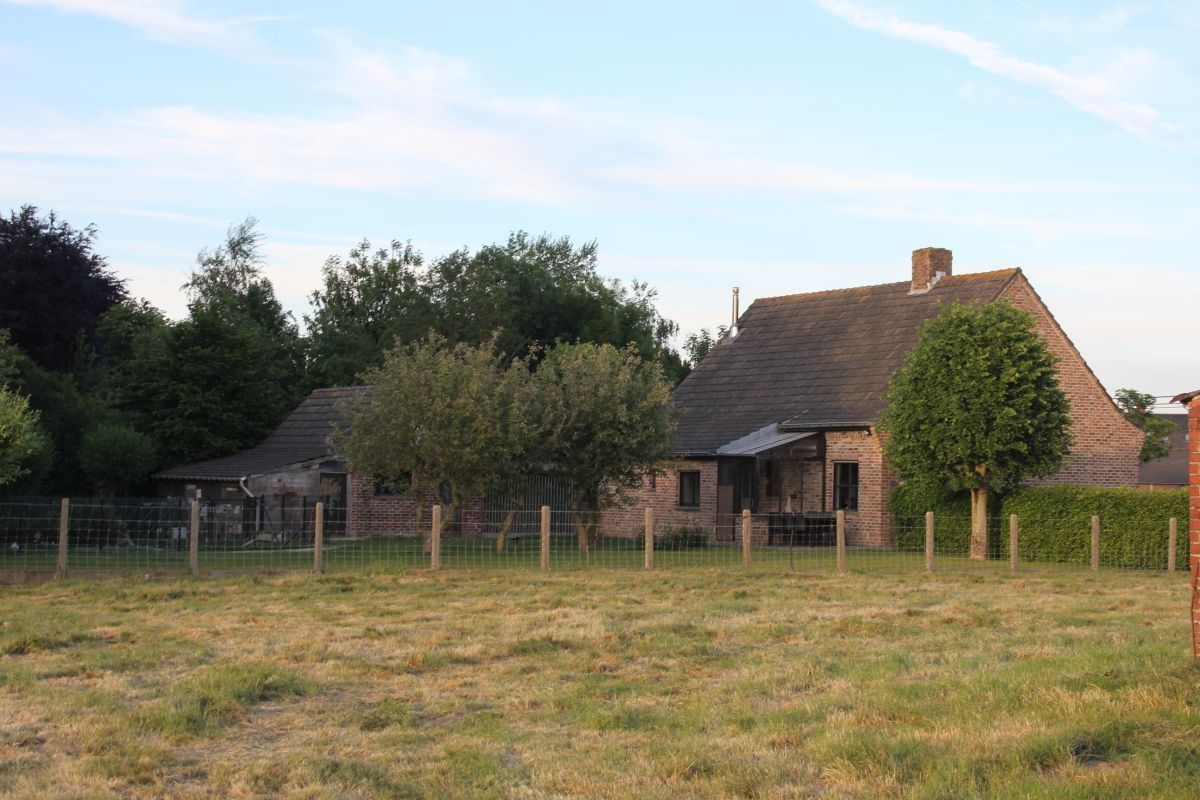 Hoevetje met residentiële woning en stallen te koop op 1 ha te Staden en Hooglede foto 13
