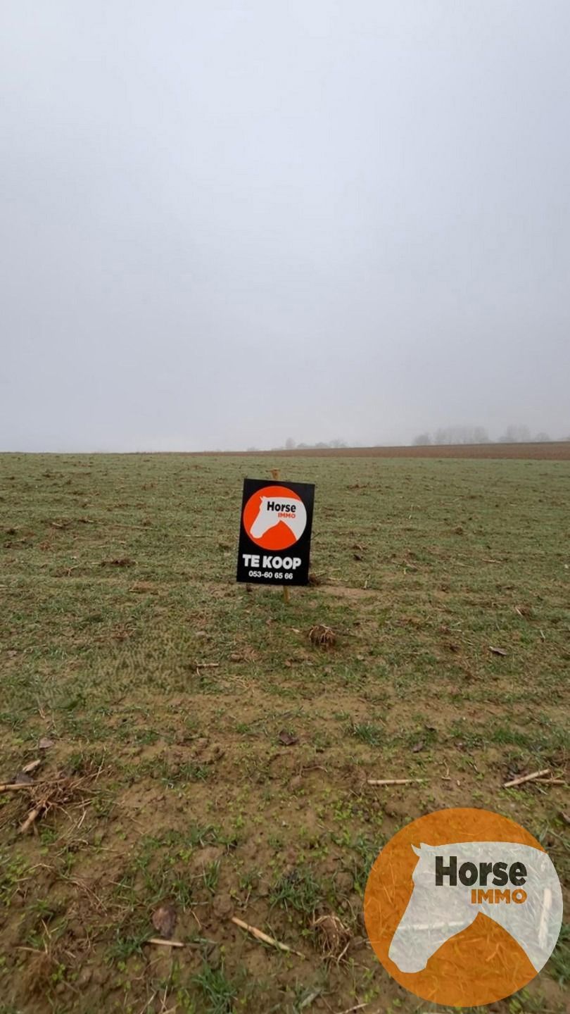 HERZELE - Landbouwgrond van 46are foto {{pictureIndex}}
