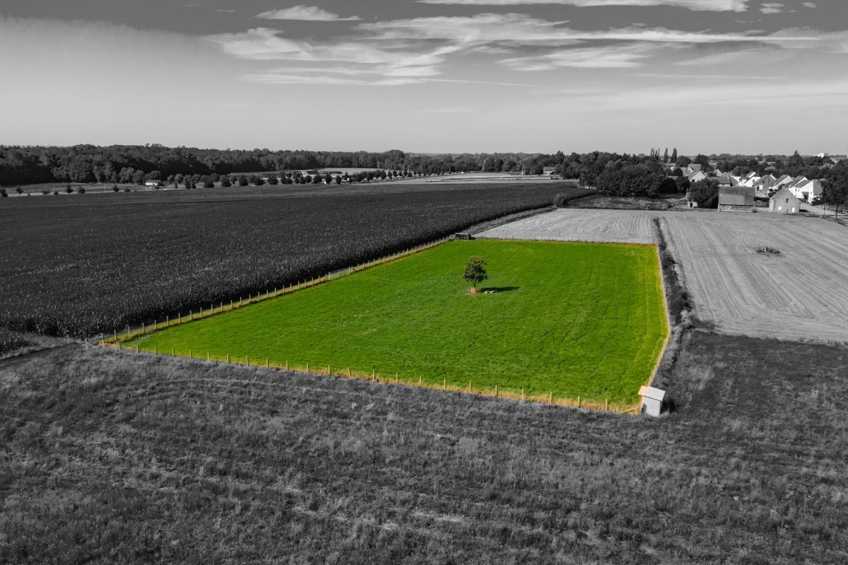 Landelijk gelegen woning met weide te koop te Torhout foto 13