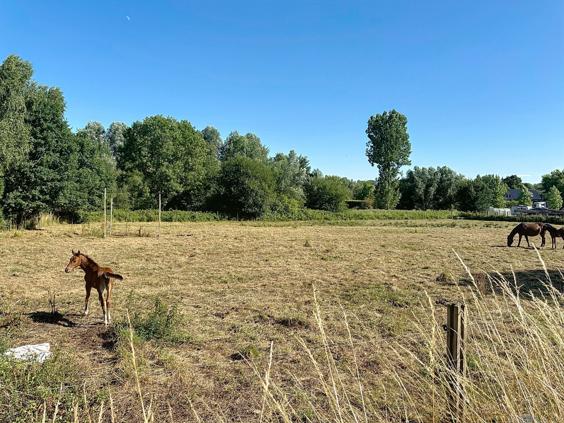 Te renoveren 3-gevel woning op interessante ligging foto 21