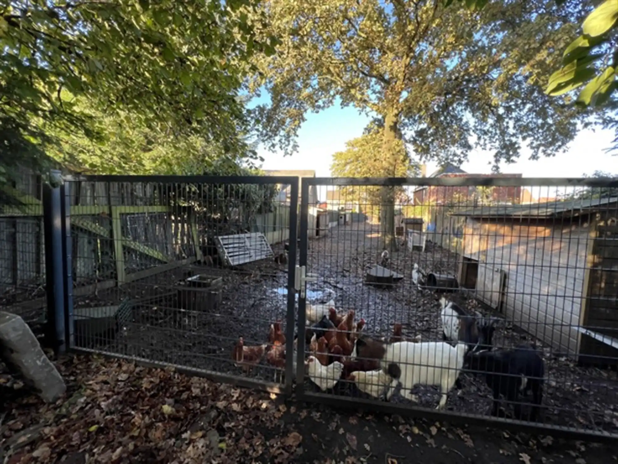 Unieke villa gelegen op grote grond (5.361 m²) foto 38