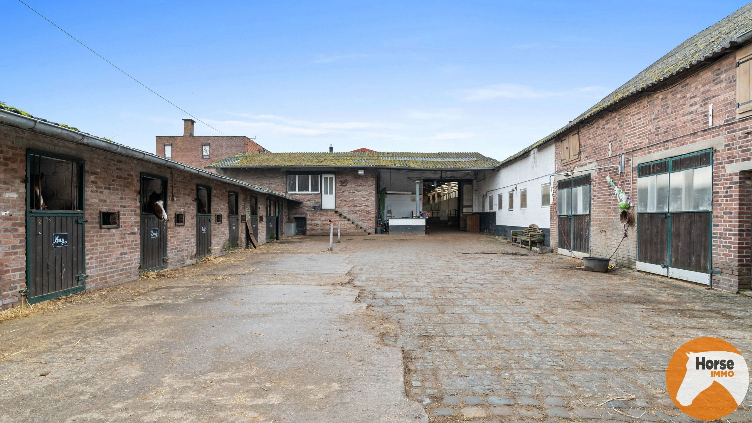 HASSELT (Kortessem) - Manege met veel potentieel! foto 14