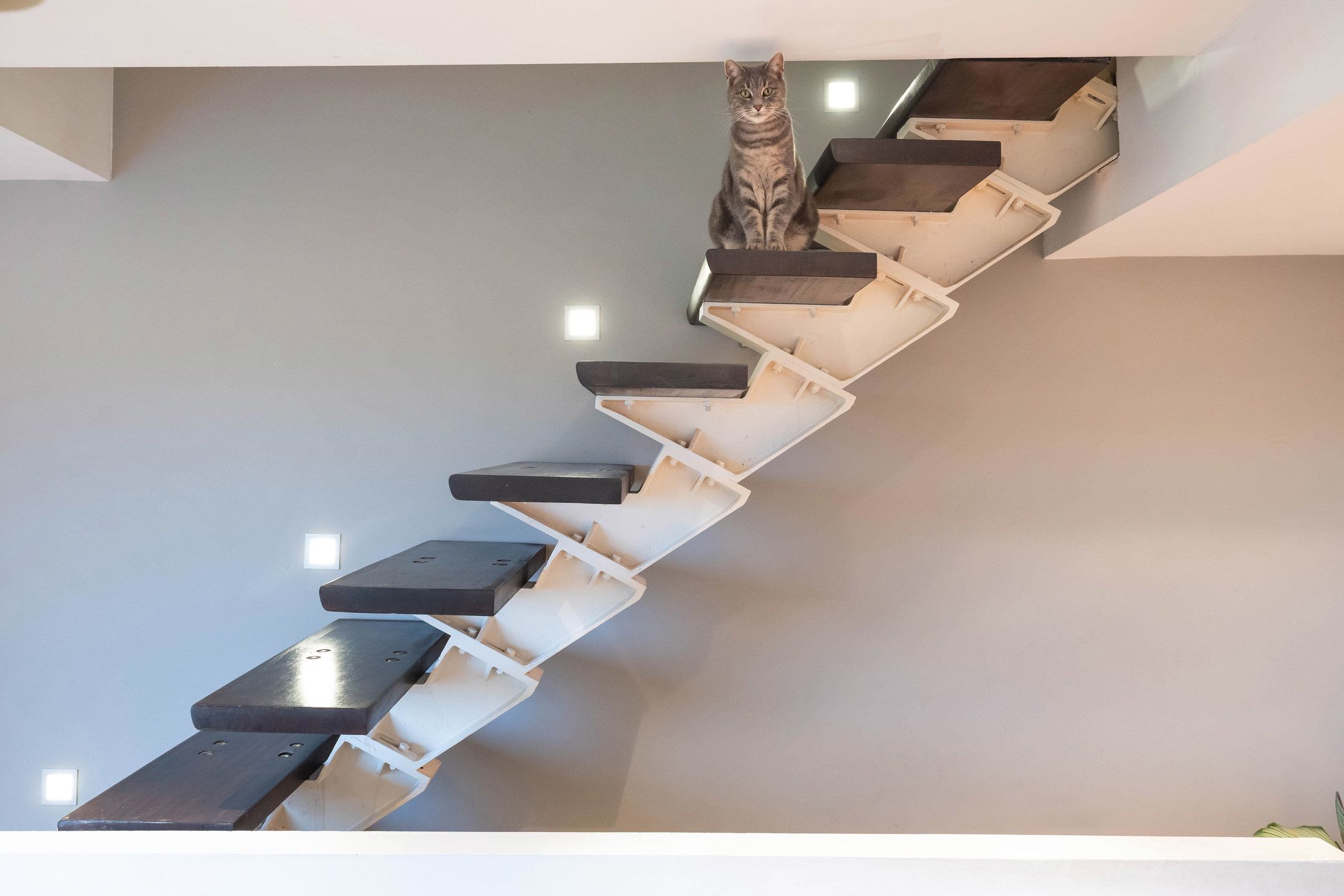 Linkebeek, charmant huis met 3 slaapkamers foto 12