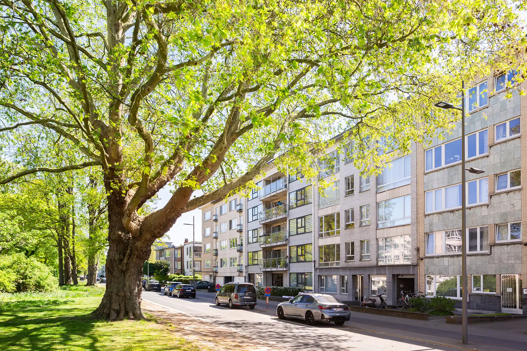 Wilrijk - Gerenoveerd 2 à 3 slp dakapp. + terras + parking foto 16