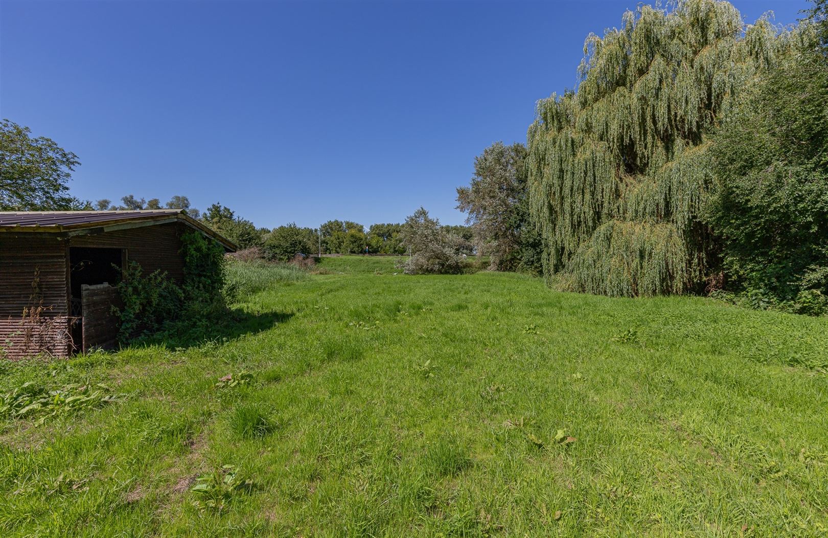 Exclusieve bouwgrond te koop Sint-Onolfsdijk, Dendermonde foto 9