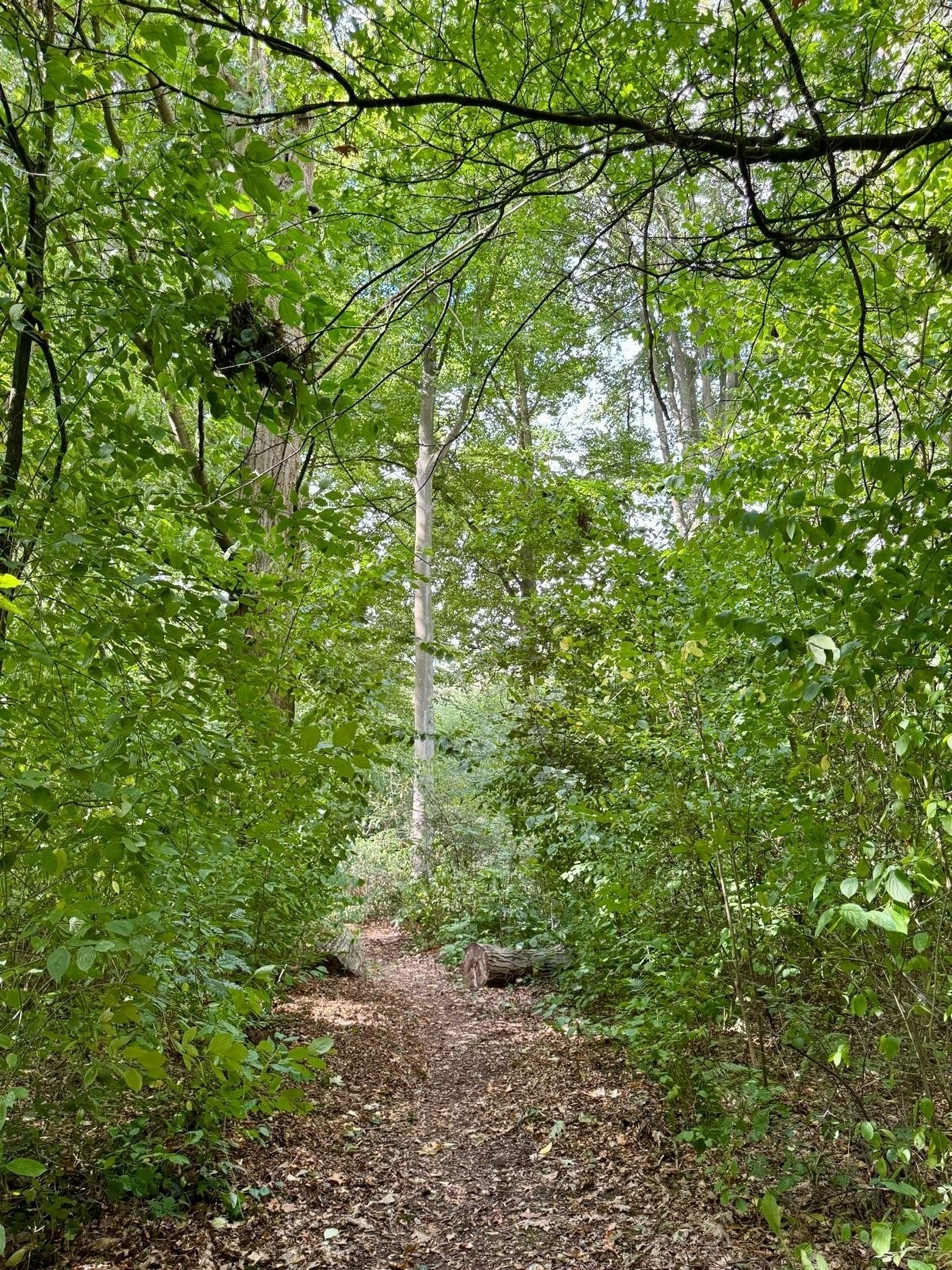 Exclusief gelijkvloersappartement met terrassen in villapark De List foto 26