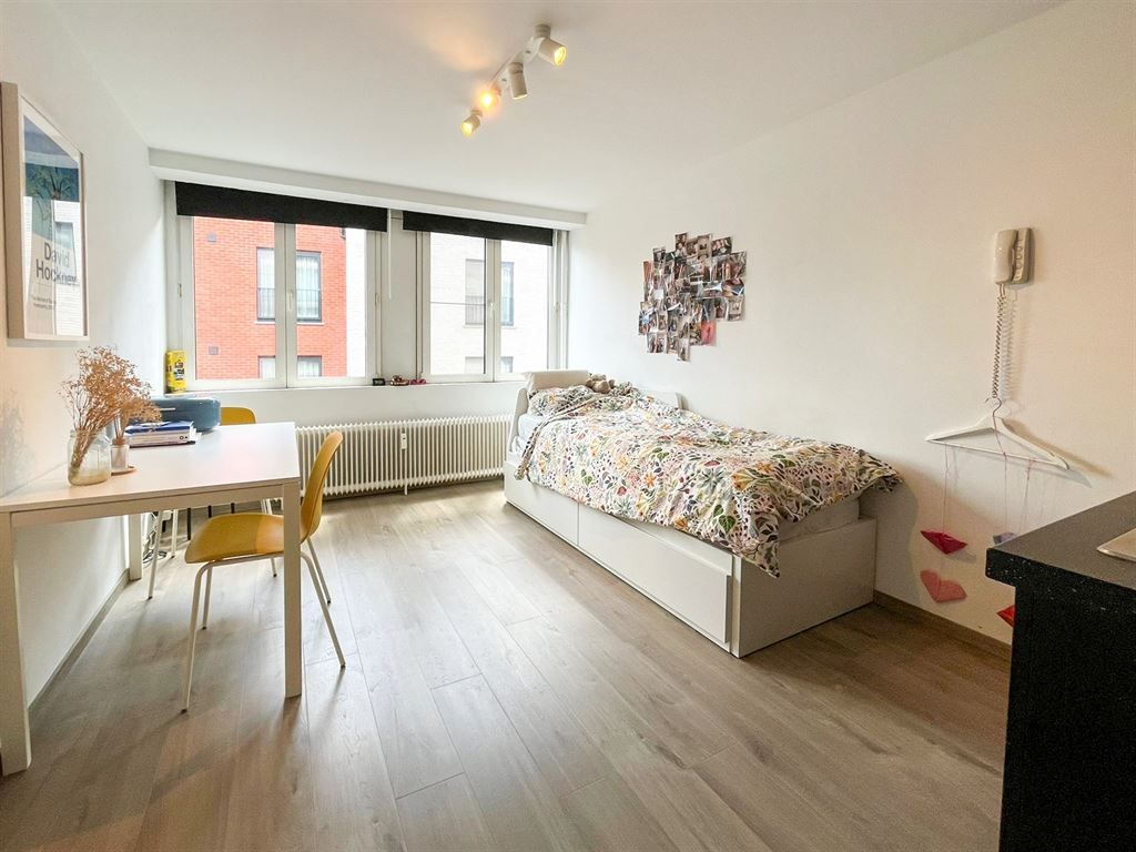 Recent gerenoveerde studio in Leuven-centrum! foto 3