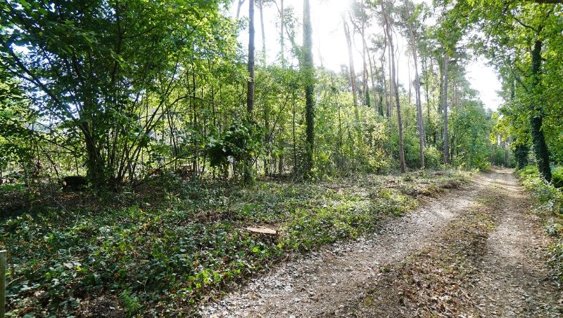 Residentieel gelegen bouwgrond van 15 are voor open bebouwing nabij golf- en meerdomein foto 6