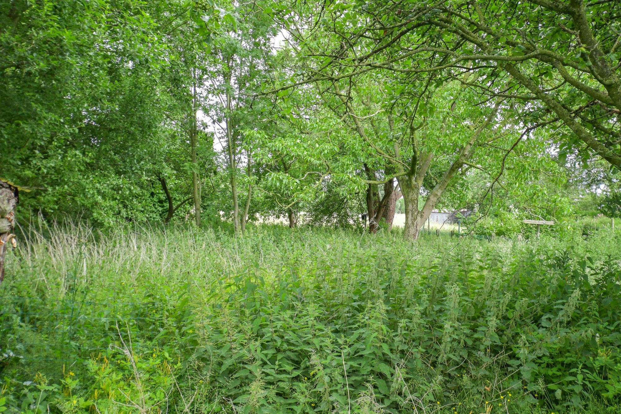 GOED GELEGEN VOLLEDIG TE RENOVEREN WONING met LANDELIJK UITZICHT op 1789 M² foto 5