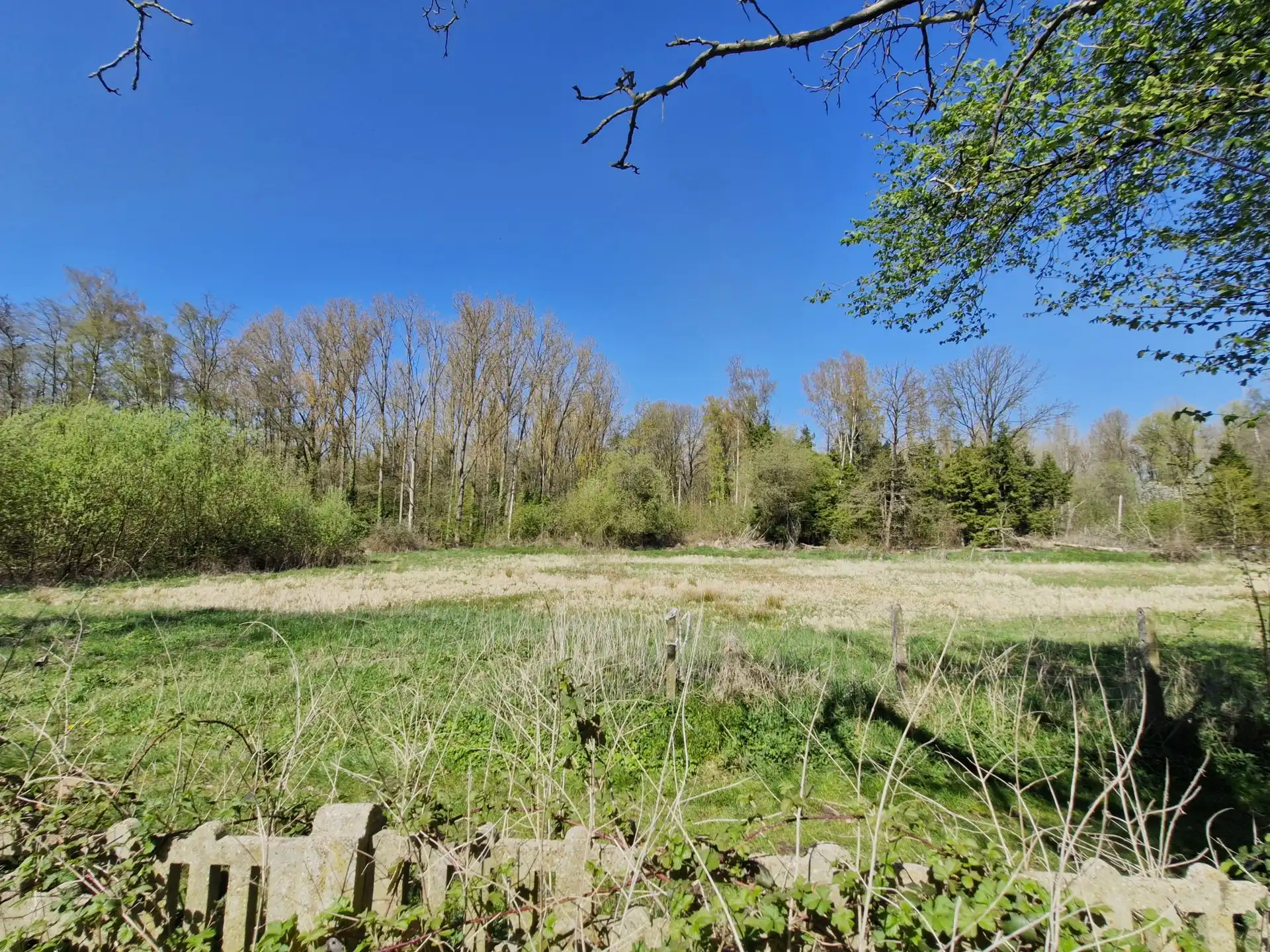 Huis te huur foto 20