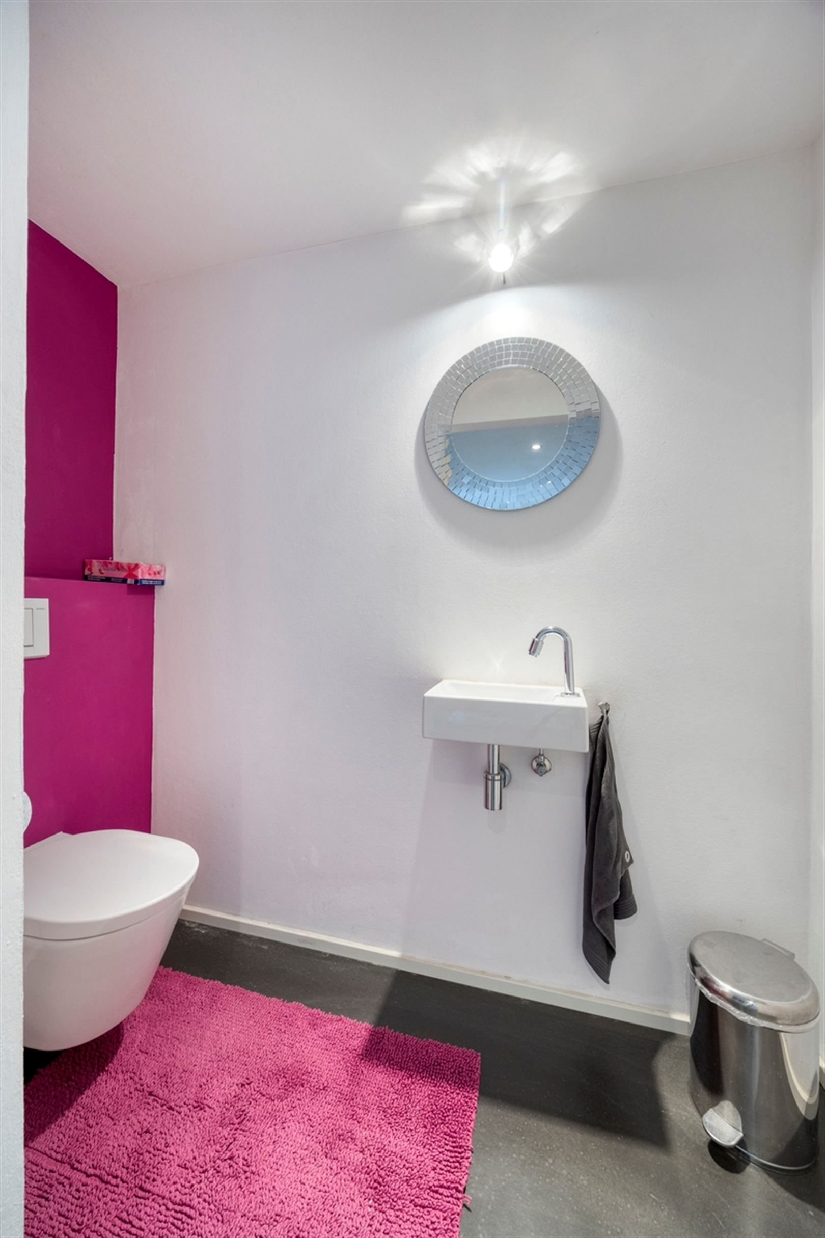 Instapklare loft in deelgemeente Leupegem foto 4