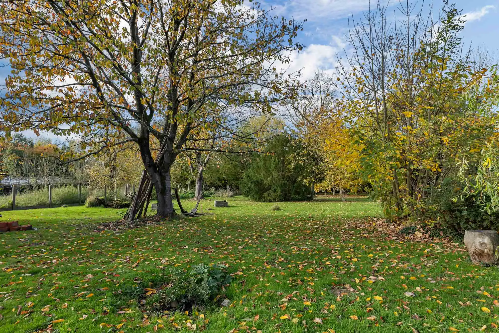 Woning met loods en 510 m² bewoonbare oppervlakte in Velzeke foto 15