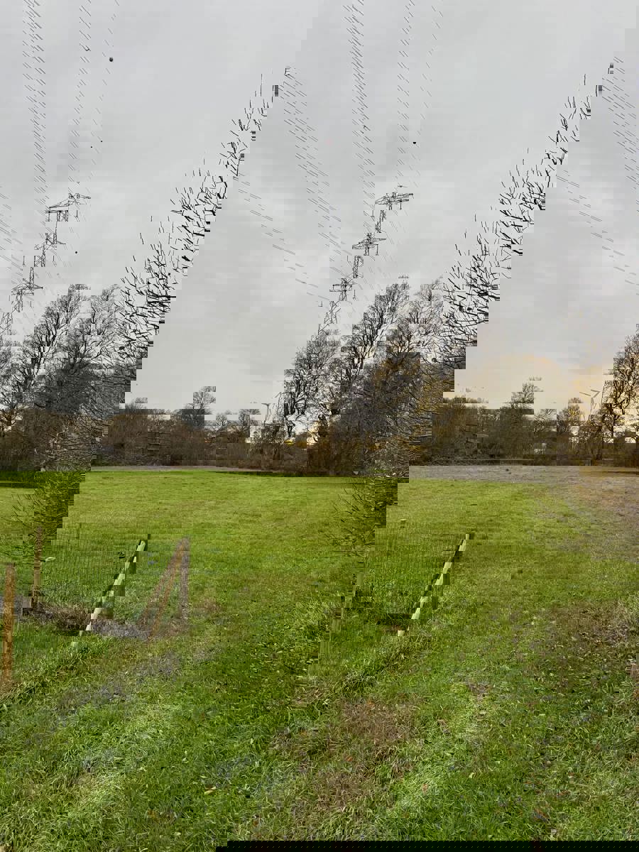 Bouwgrond voor open bebouwing met achterliggend weiland gelegen op uiterst rustige locatie te Olmen. foto 8