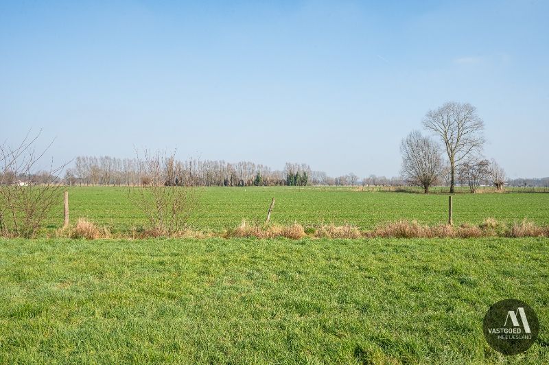 UNIEK gelegen hoeve op 7.290m² in Maldegem foto 11