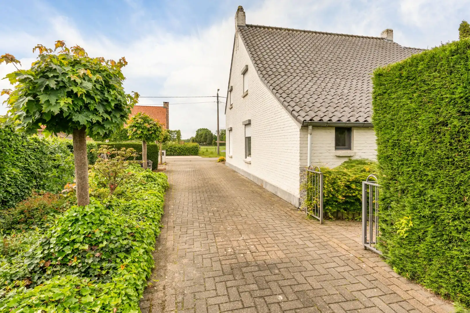 Ruime, zeer rustig gelegen woning op een perceel 29a90ca te Molenbeersel - een deelgemeente van Kinrooi!  foto 33