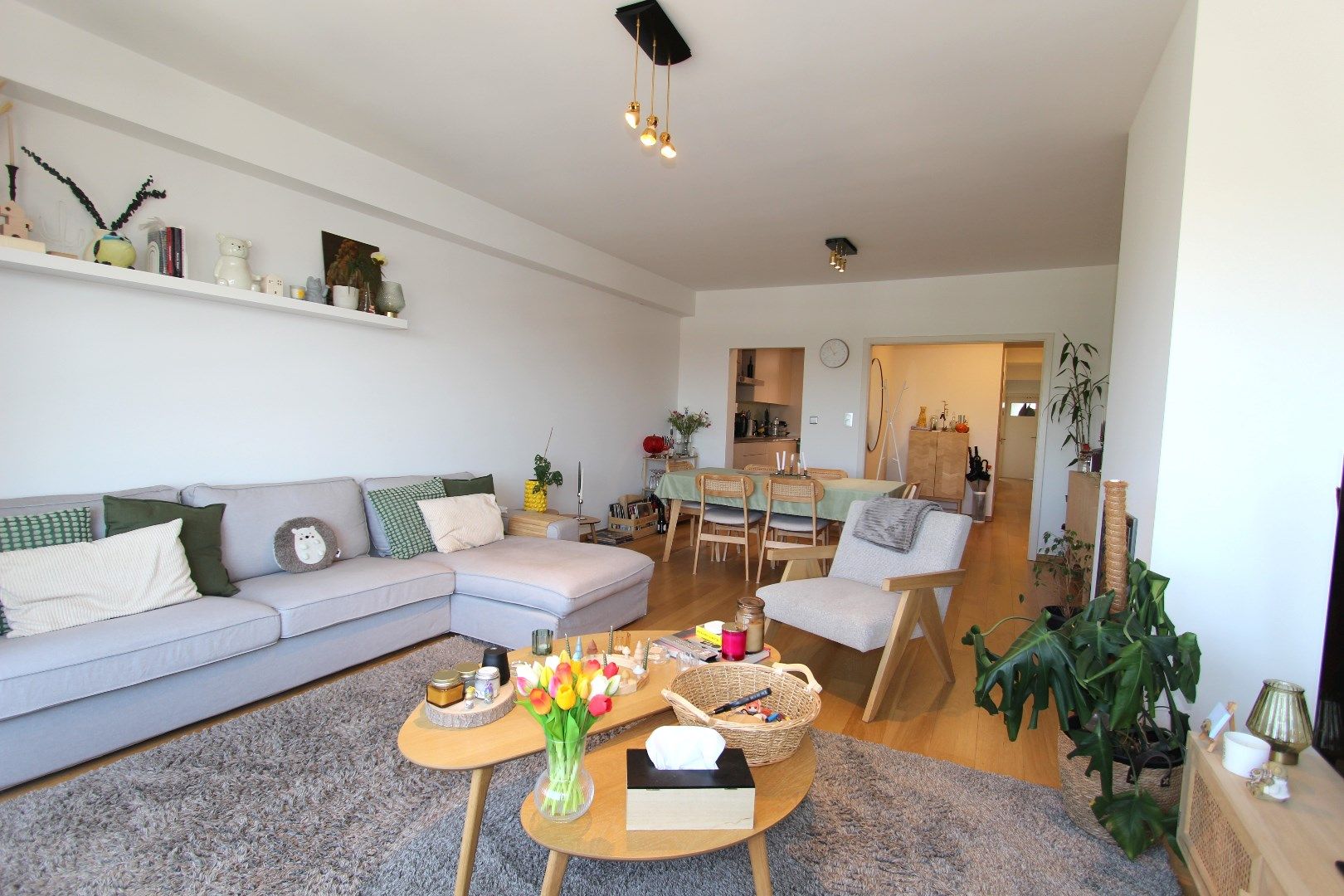 RUIM APPARTEMENT MET 3 SLAAPKAMERS foto 3