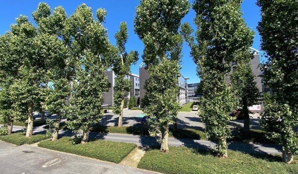 Energiezuinige kantoren te huur in Axxes Business Park Merelbeke foto 21