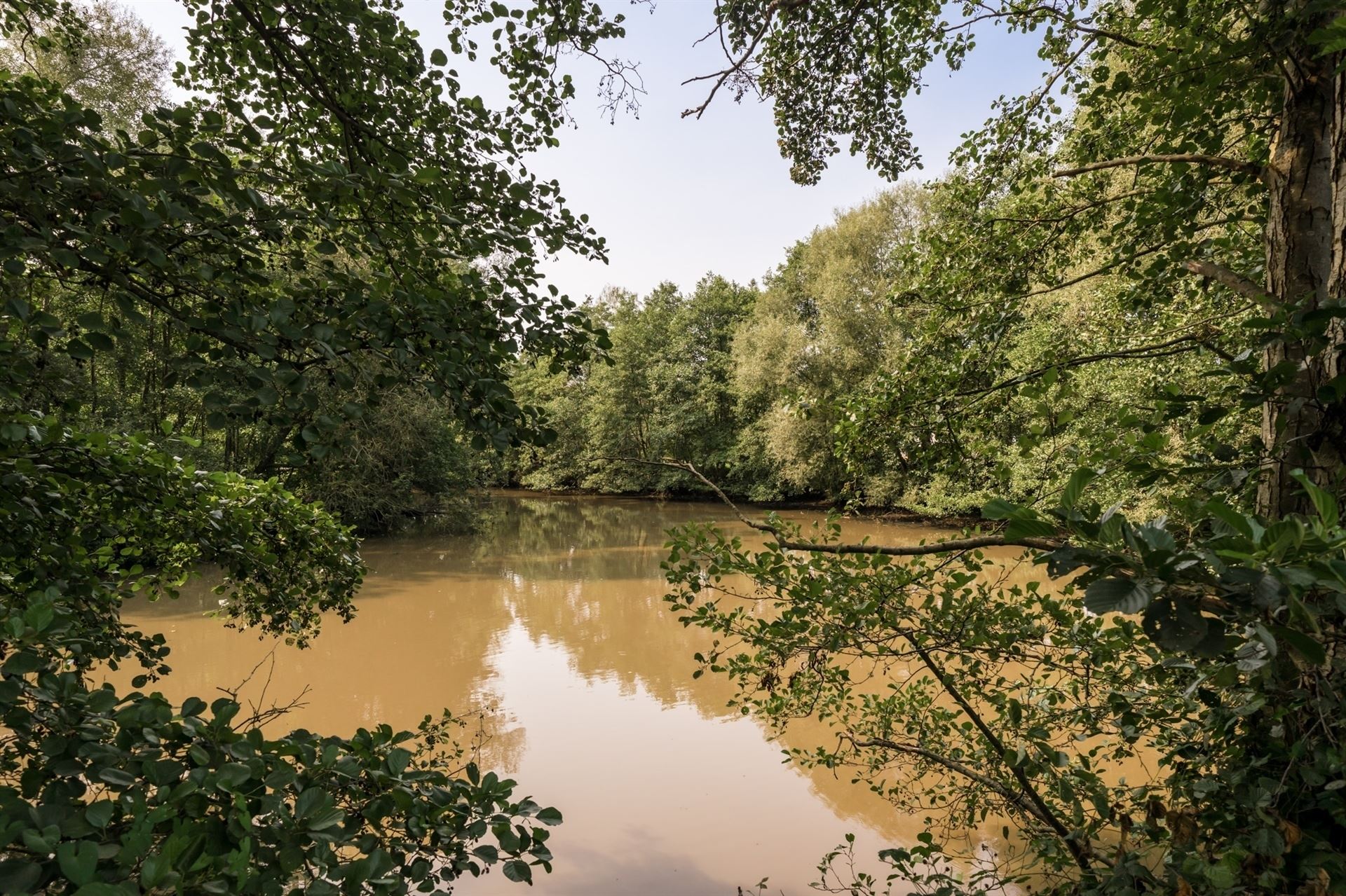 Uitzonderlijk en uniek pand in een paradijselijke omgeving waar luxe en natuur samenkomen foto 16