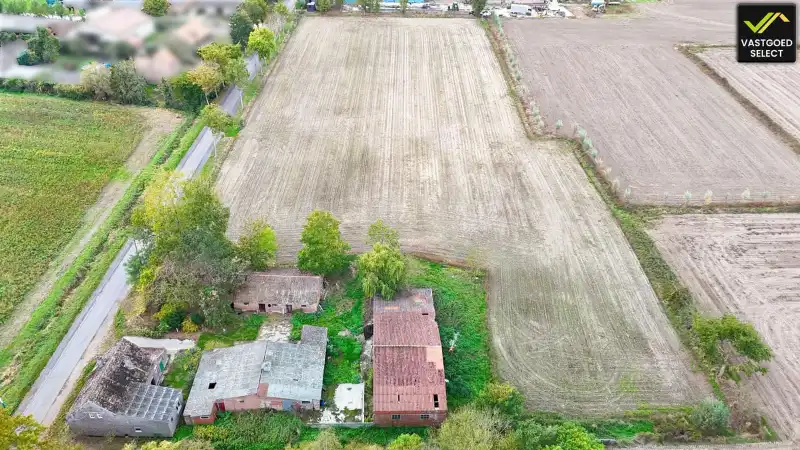 Te koop: Hoeve op 15.514 m² grond met potentieel – Moerstraat 14, Eeklo (nabij Sint-Laureins) foto 4