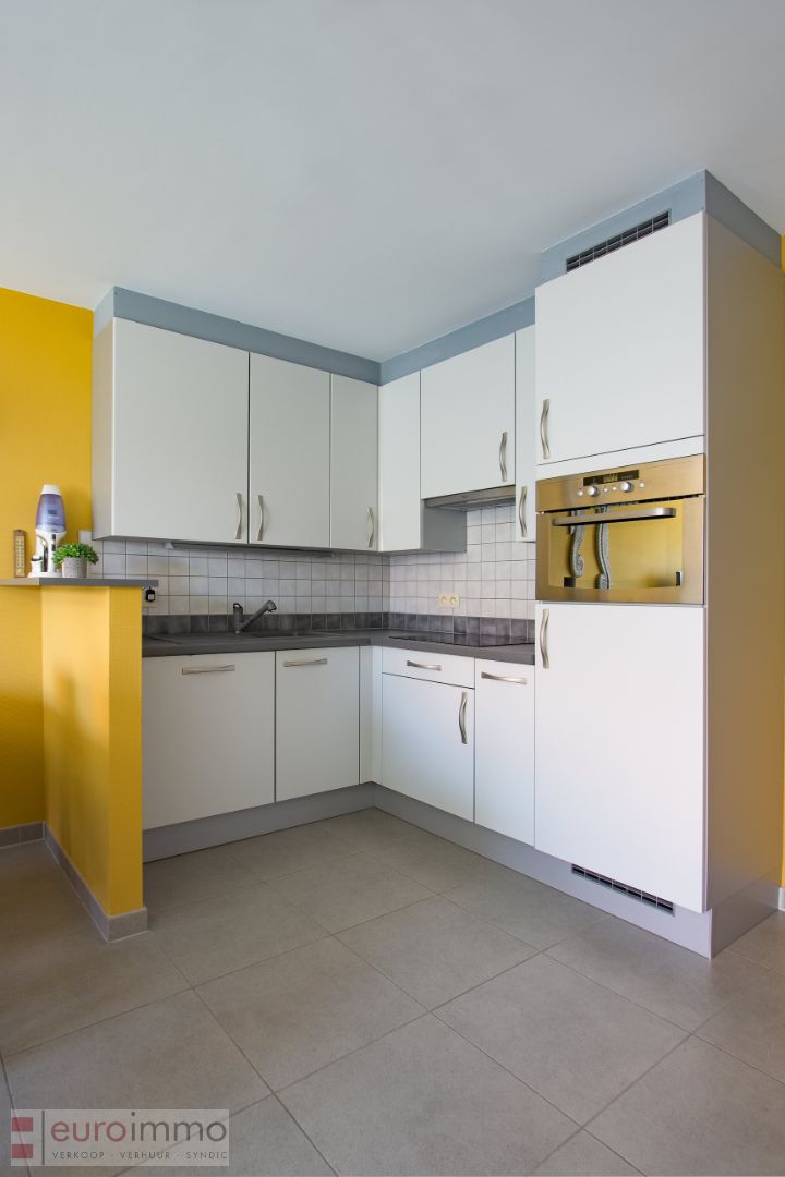 Zuidgericht appartement met 2 slaapkamers in het hart van Nieuwpoort-Bad! foto 4