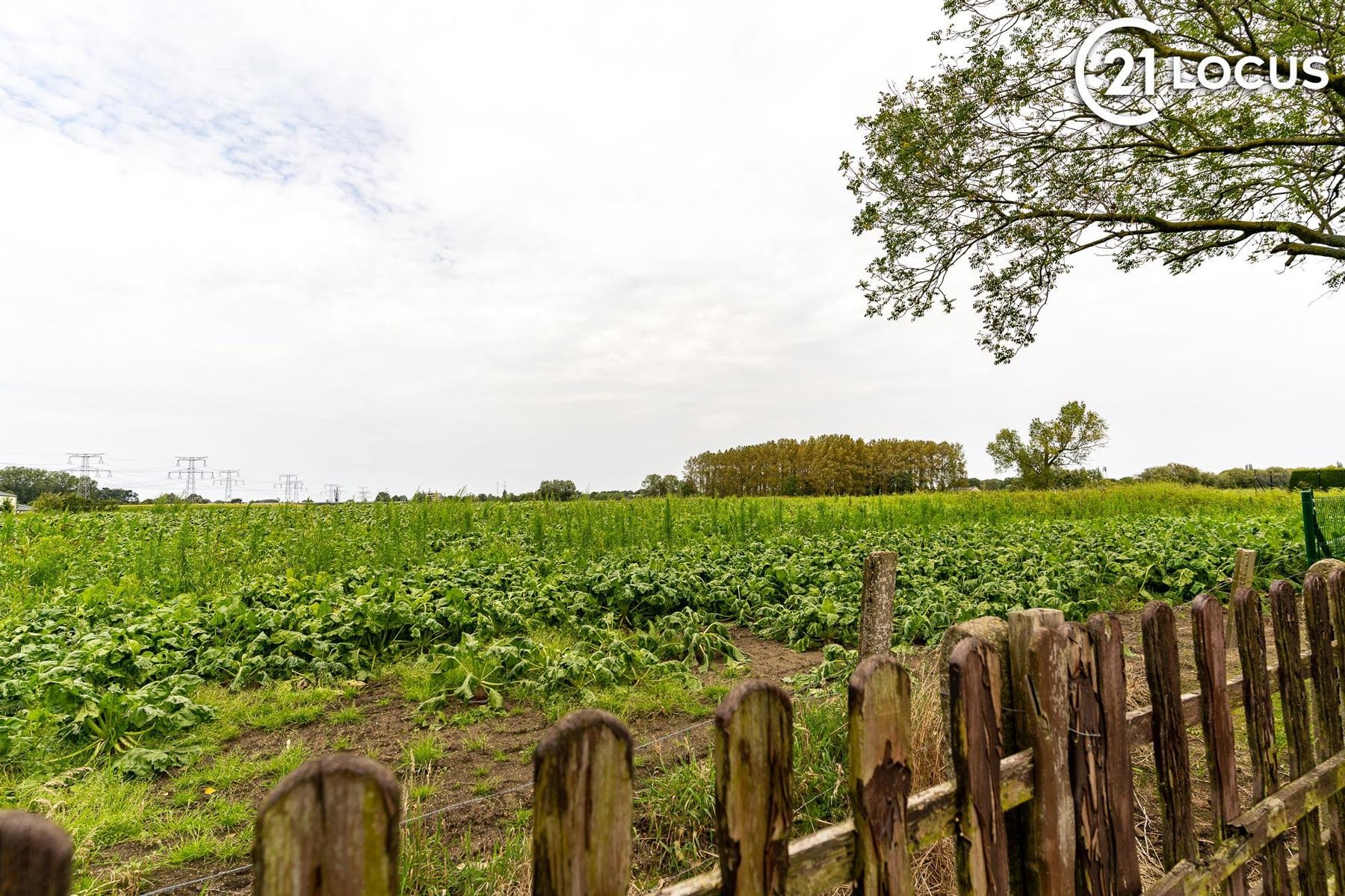 Ruime woning op 1.195 m² grond met tuin, veranda en garages foto 17