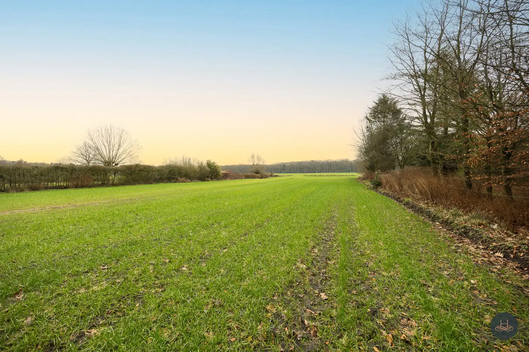 Unieke bouwgrond met weiland in Brasschaat foto 3