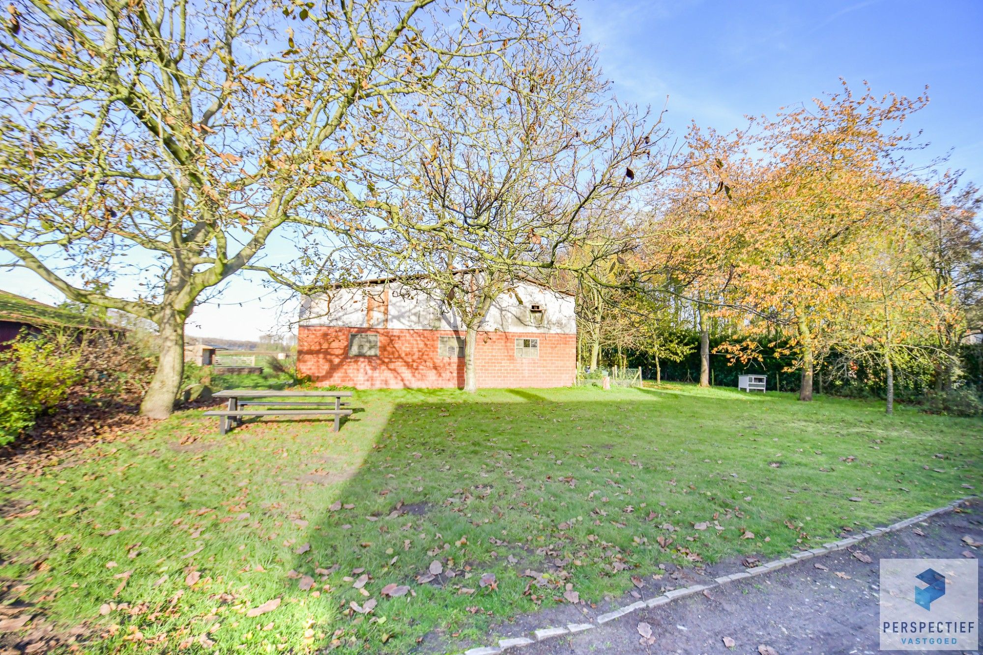 Landelijke woning met een magazijn, schuur en weide op 10&nbsp;224m² foto 8