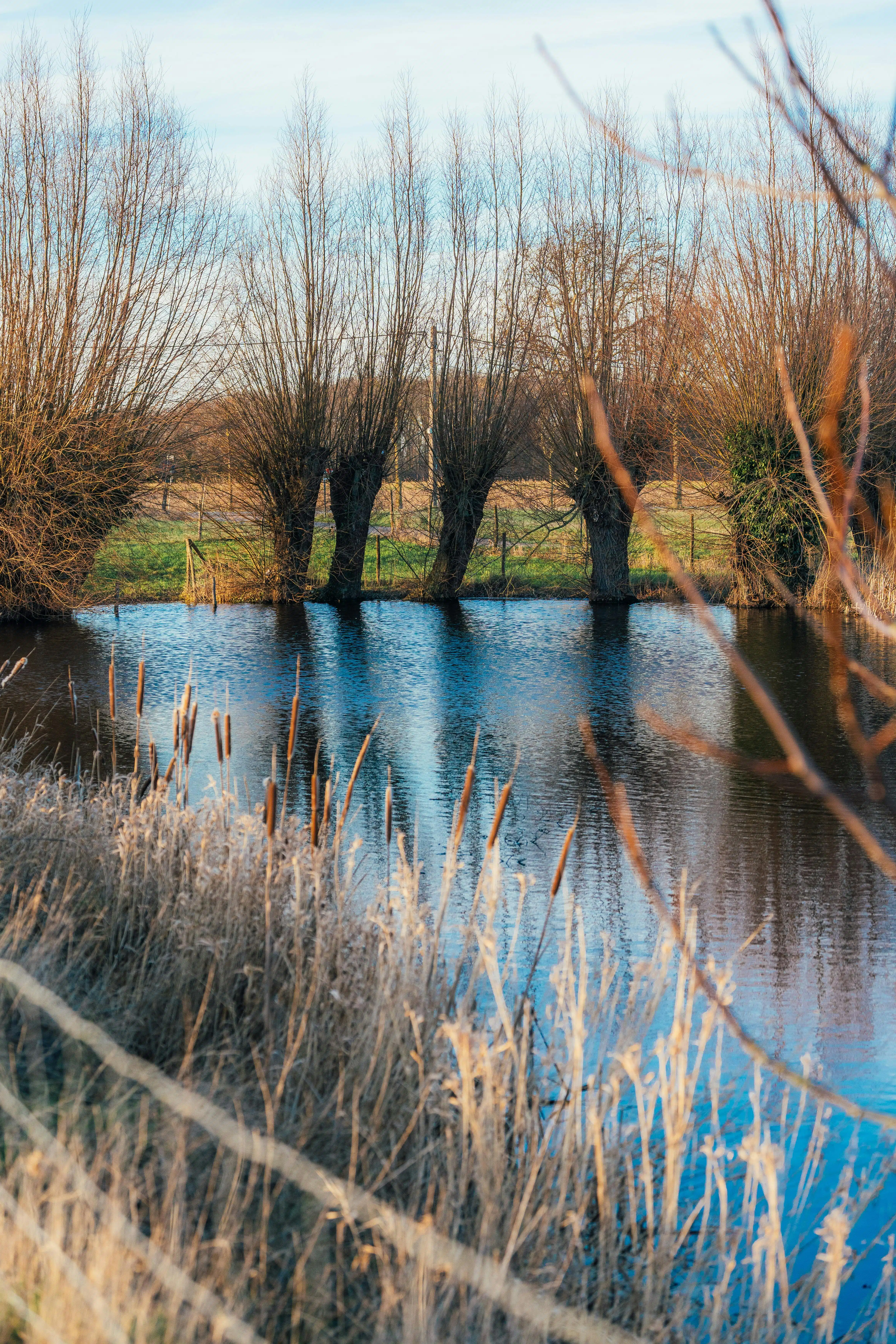 Authentiek te renoveren hoeve met uniek potentieel op bijna 3 hectare in Voormezele  foto 10