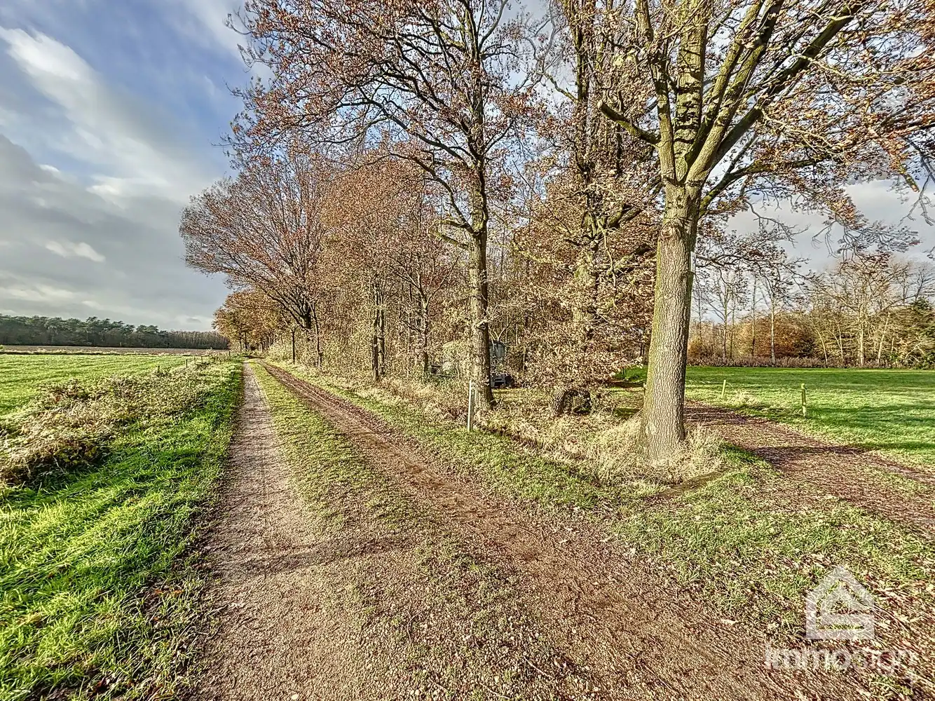 Bosgrond van maar liefst 3HA12A groot foto 3