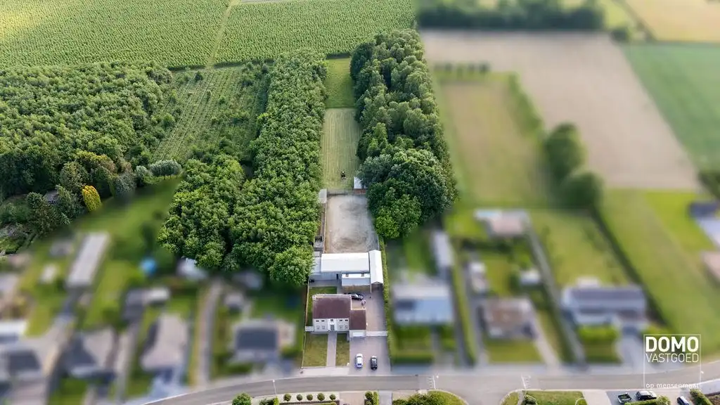 Ruime villa met paardenaccommodatie en wedstrijdstal gelegen te Herk-de-Stad - EPC-label: B - Bewoonbare vloeroppervlakte: 296m² foto 6