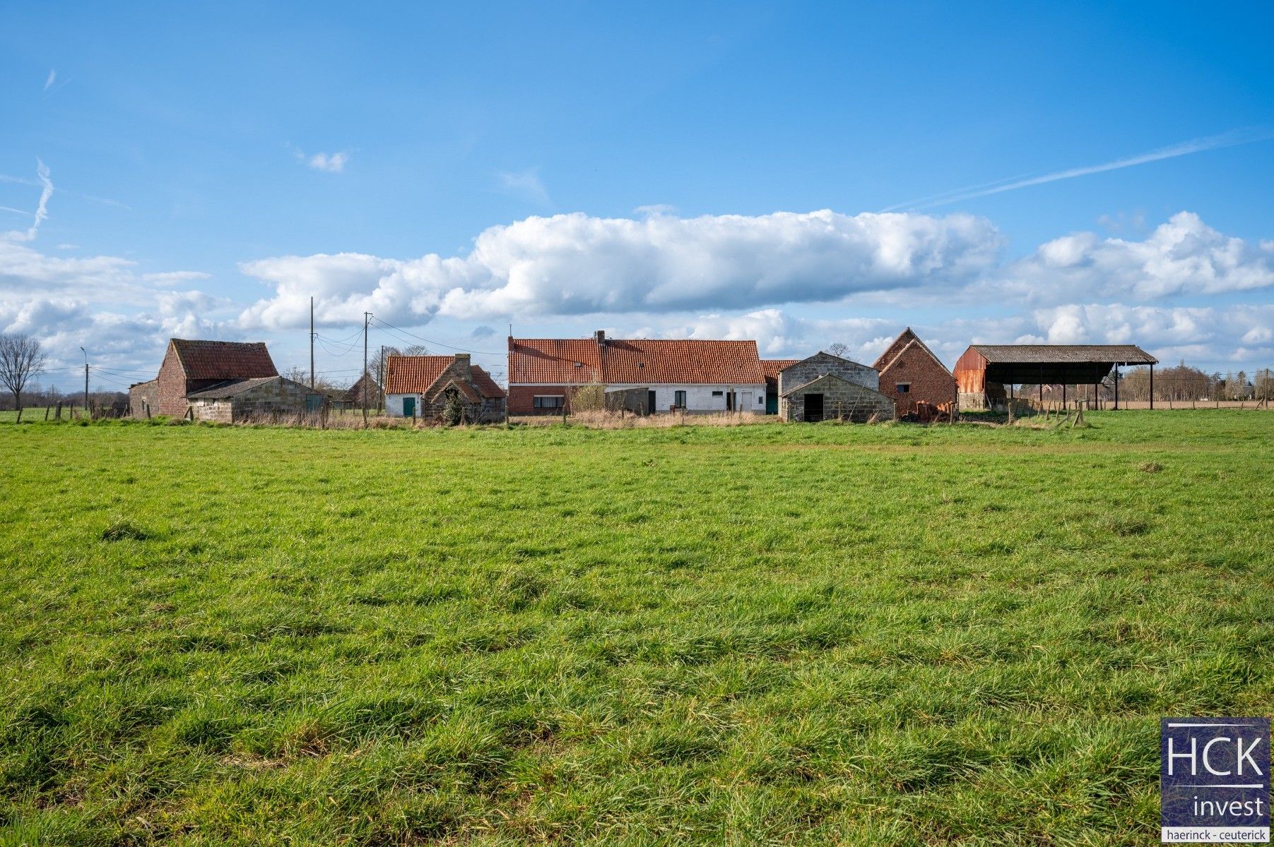 KRUISHOUTEM - Hoeve met woonhuis, landgebouw en hangaar op 2ha 67a foto 13