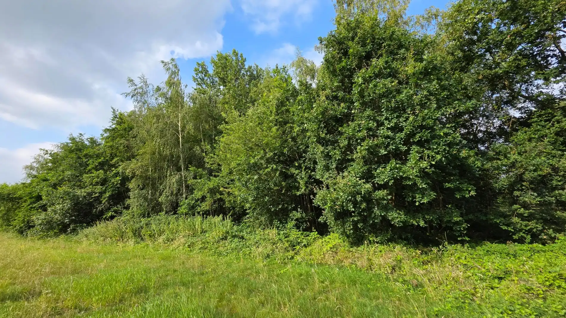 GROEN PERCEEL VAN 3.410 M² IN BETEKOM foto 4