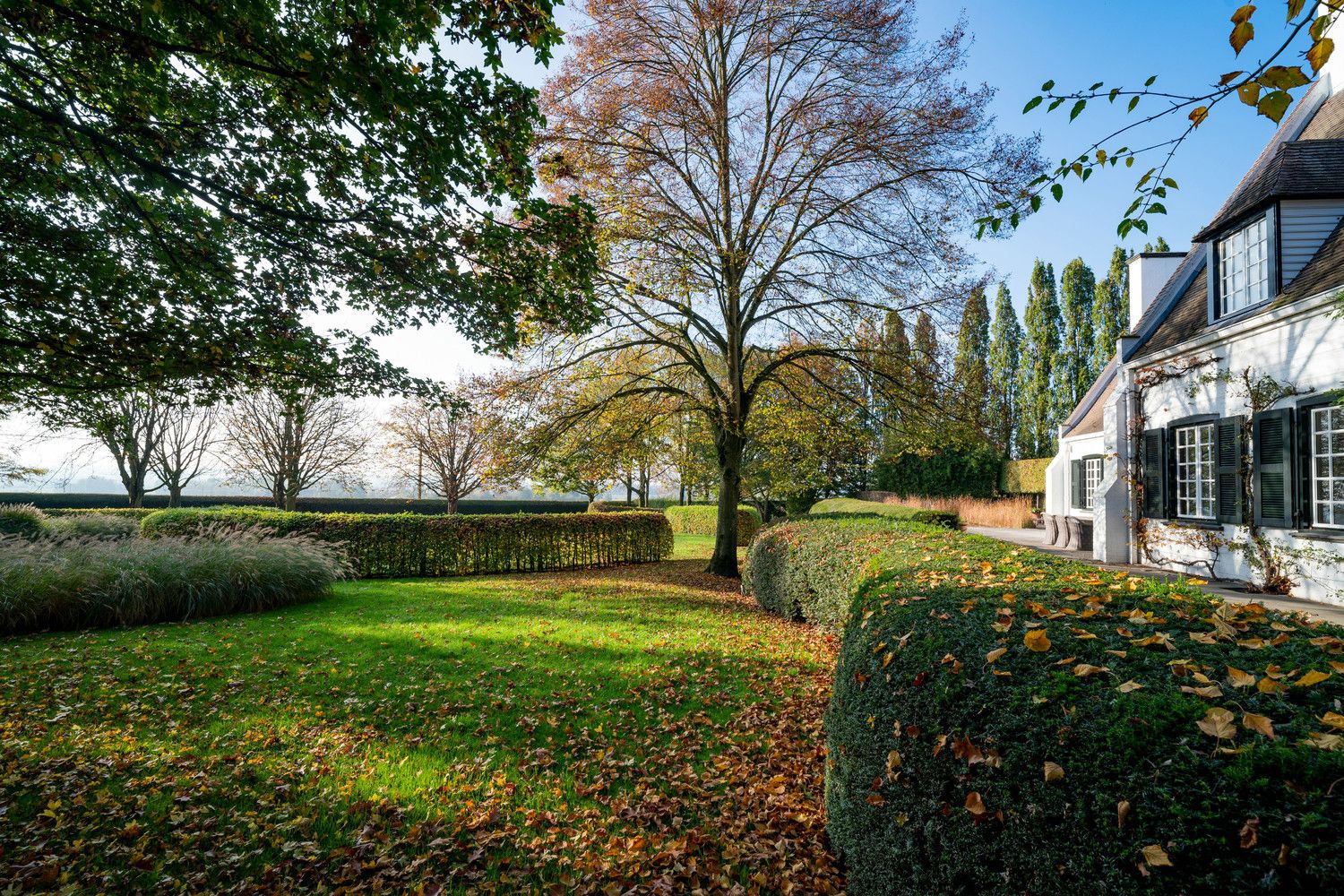 Landgoed in landelijke pracht: De ultieme ontsnapping naar rust en luxe foto 6