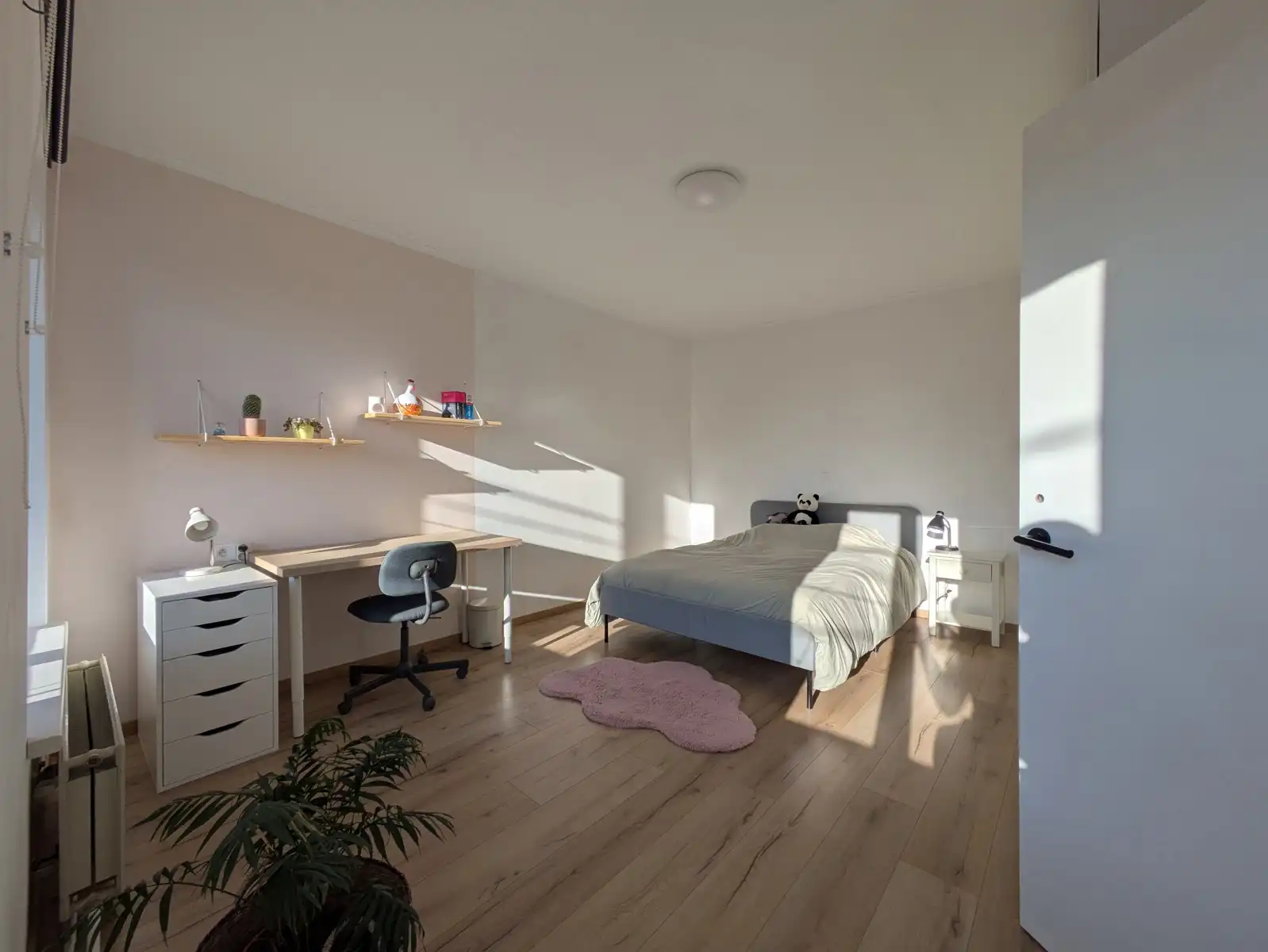 Huis te koop foto 18