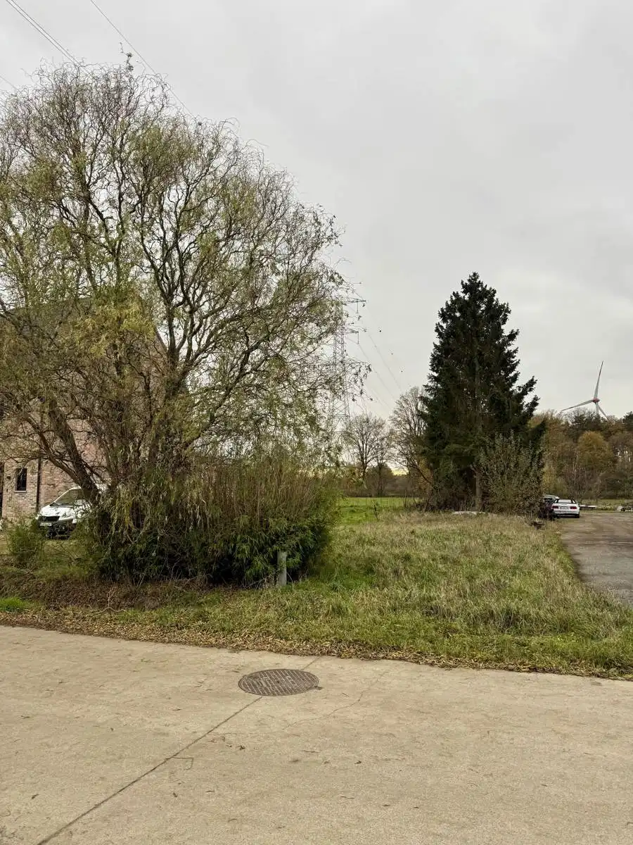 Bouwgrond voor open bebouwing met achterliggend weiland gelegen op uiterst rustige locatie te Olmen. foto 6