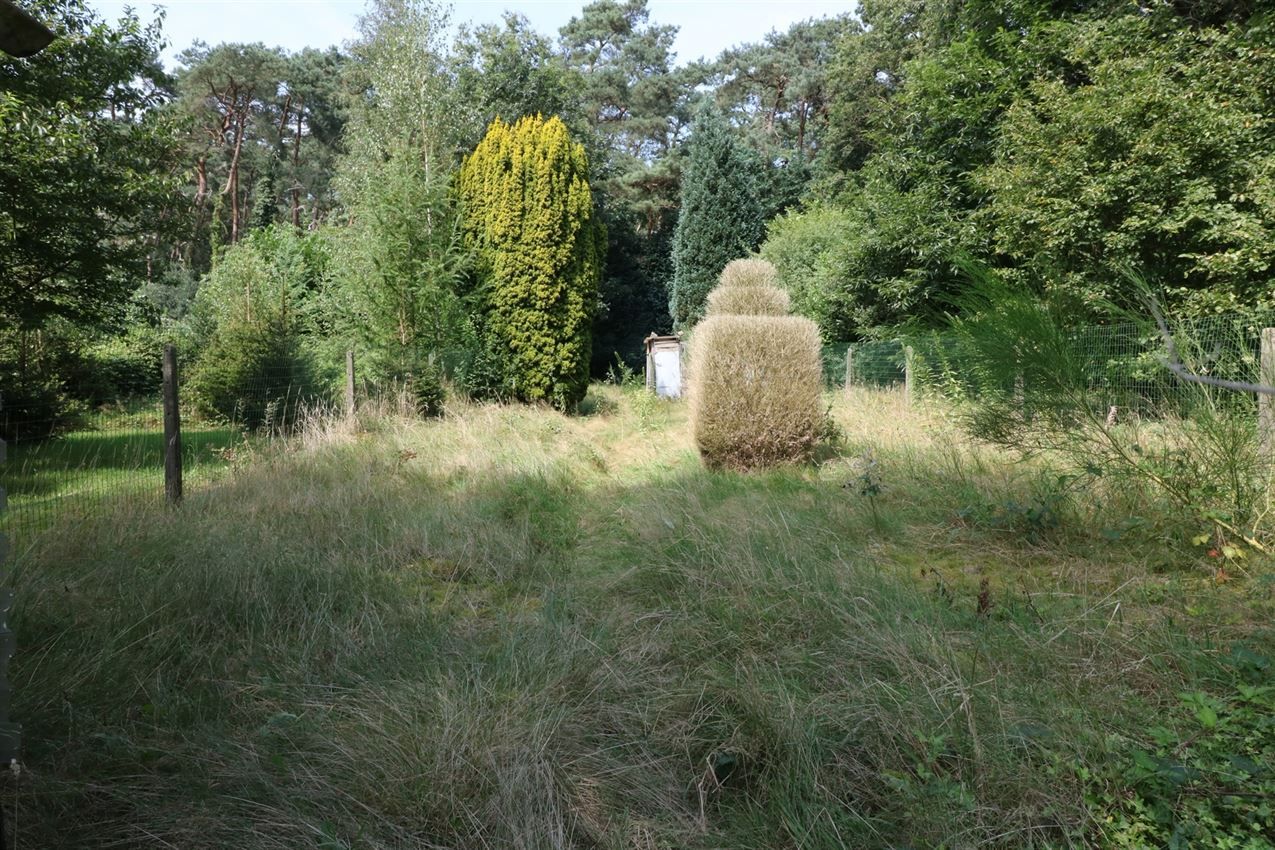 3 slpk (+1 mglk) op bijna 11a, grenzend aan bos foto 29