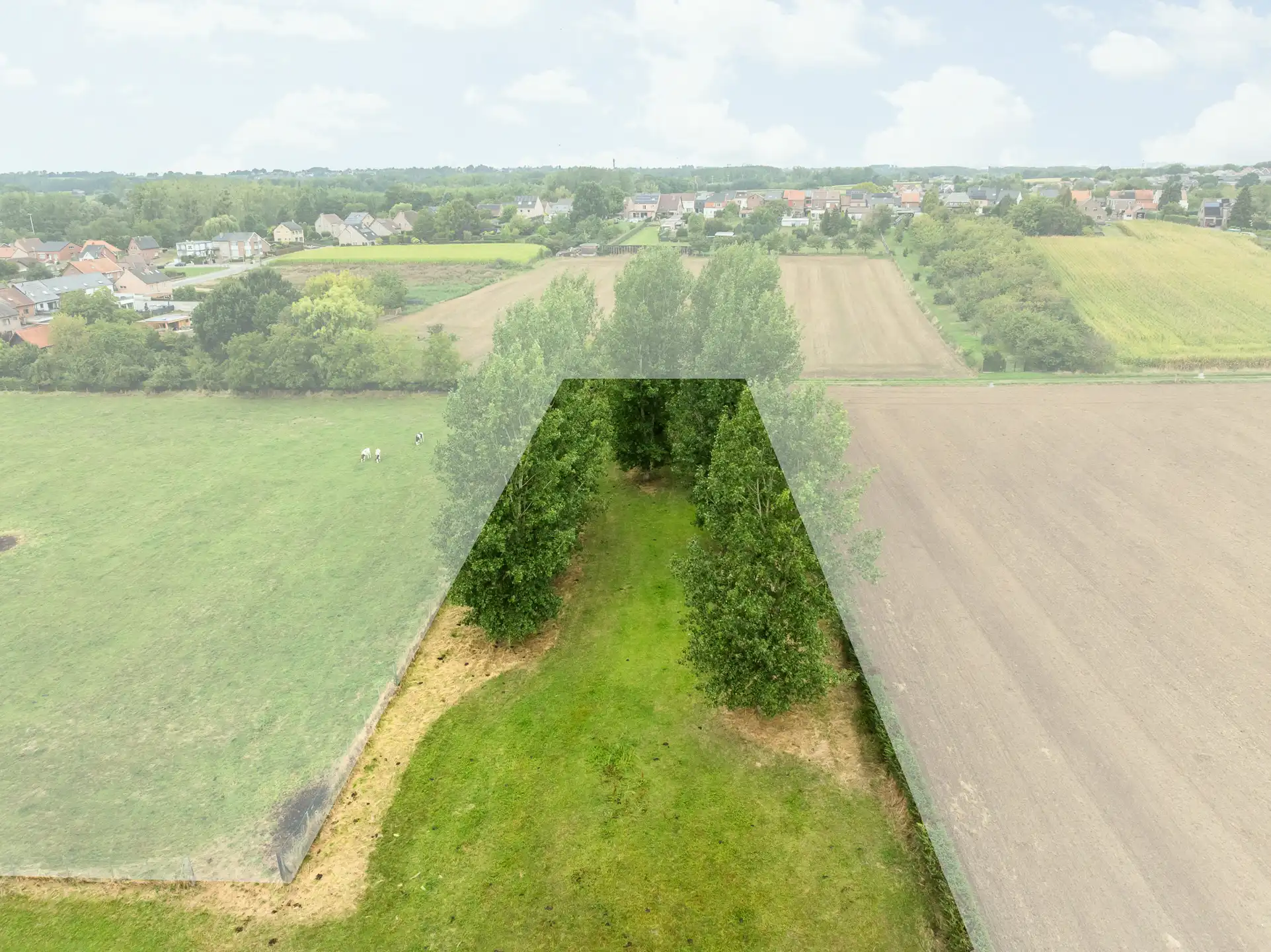 Vrijstaande bungalow met paardenweides op 84a39ca foto 6