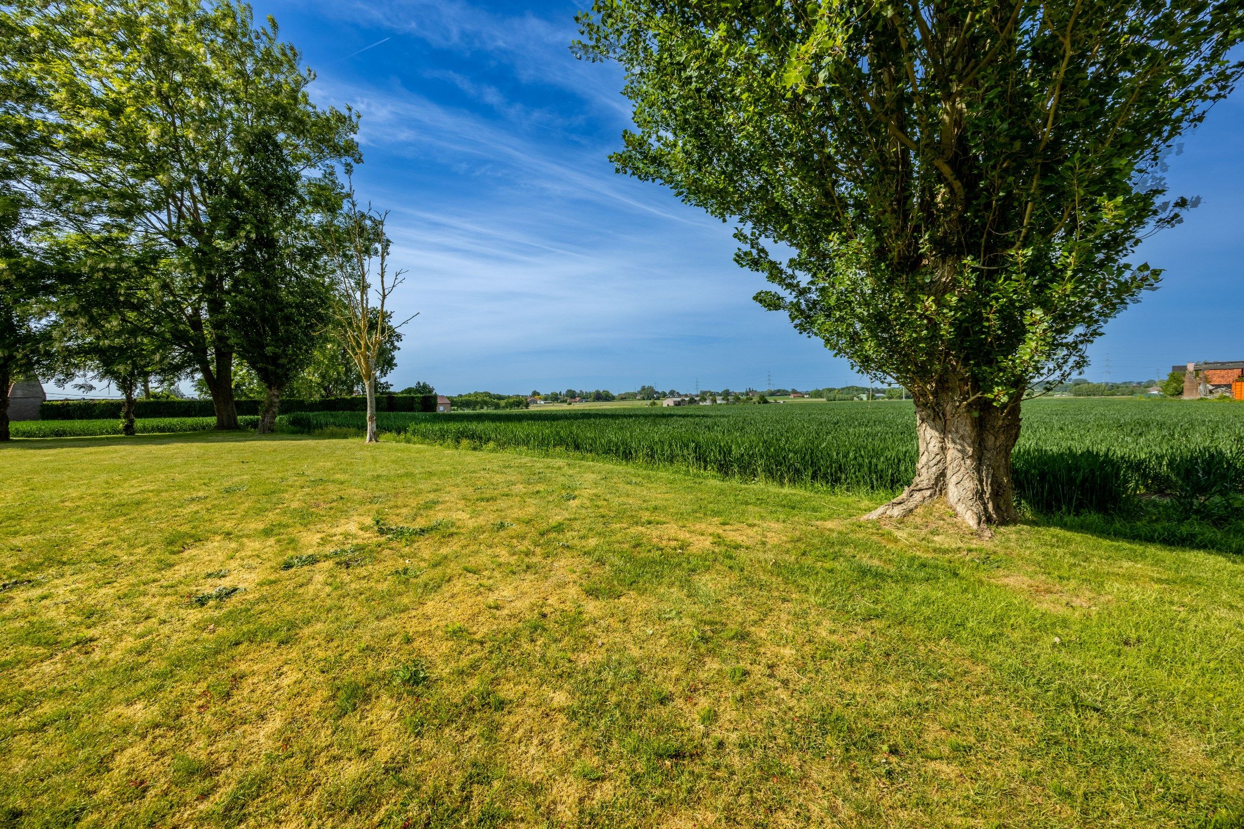 LANDELIJK GELEGEN WONING OP 3.803M² foto 3