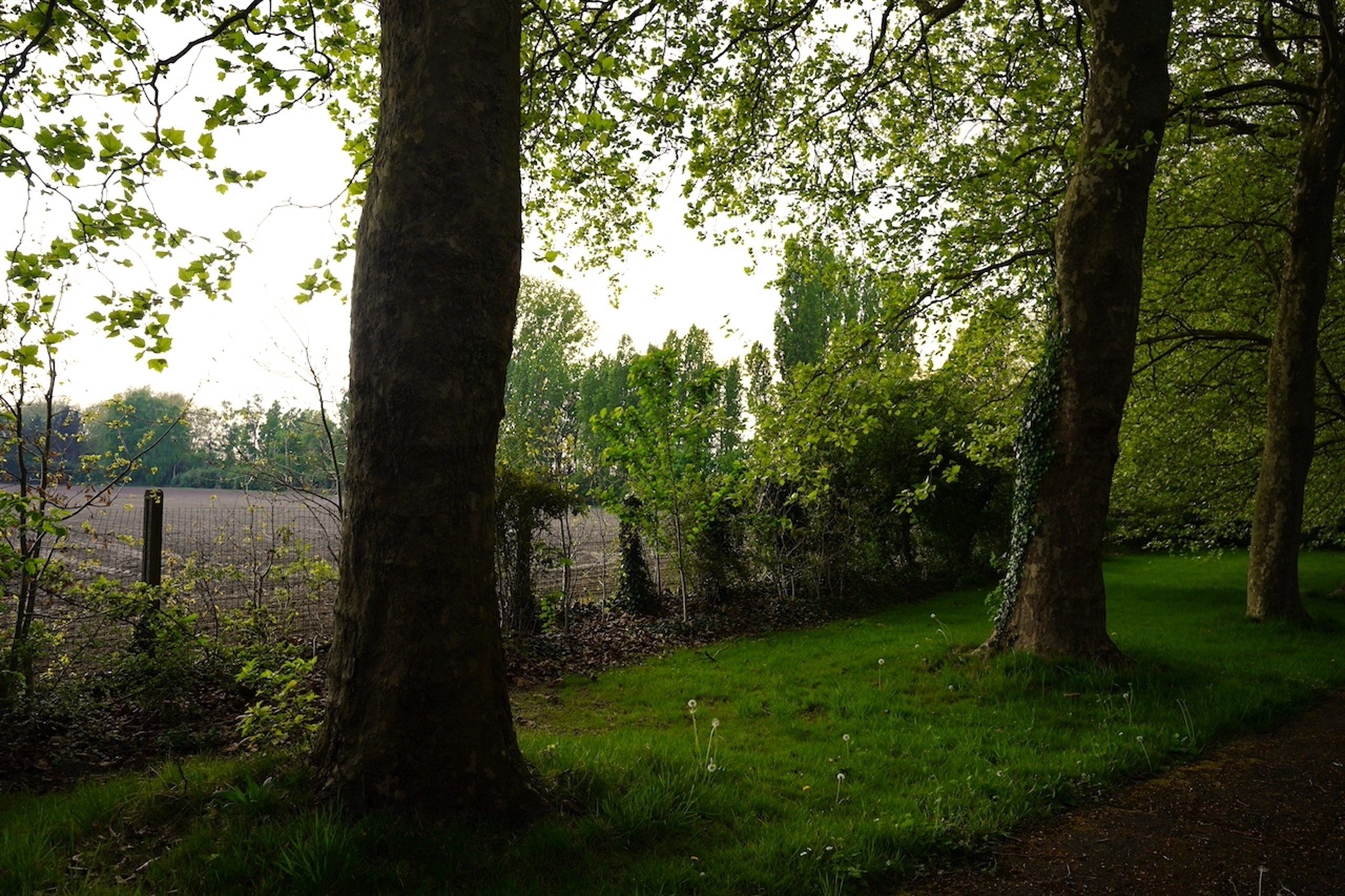 Majestueuze eigendom gelegen op een weelderig landgoed van ca. 1 ha! foto 8